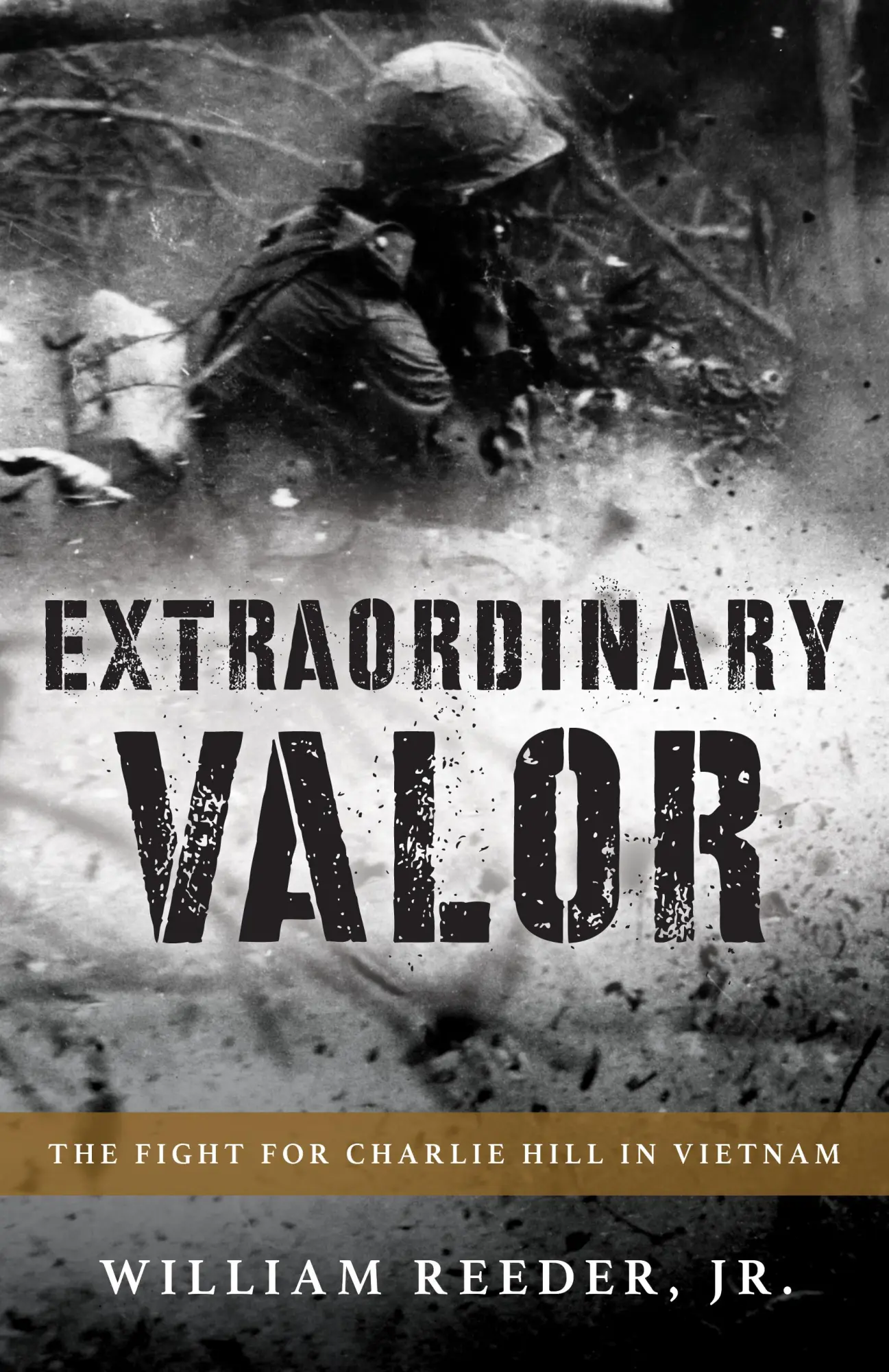 Cover: 9781493063673 | Extraordinary Valor | The Fight for Charlie Hill in Vietnam | Reeder