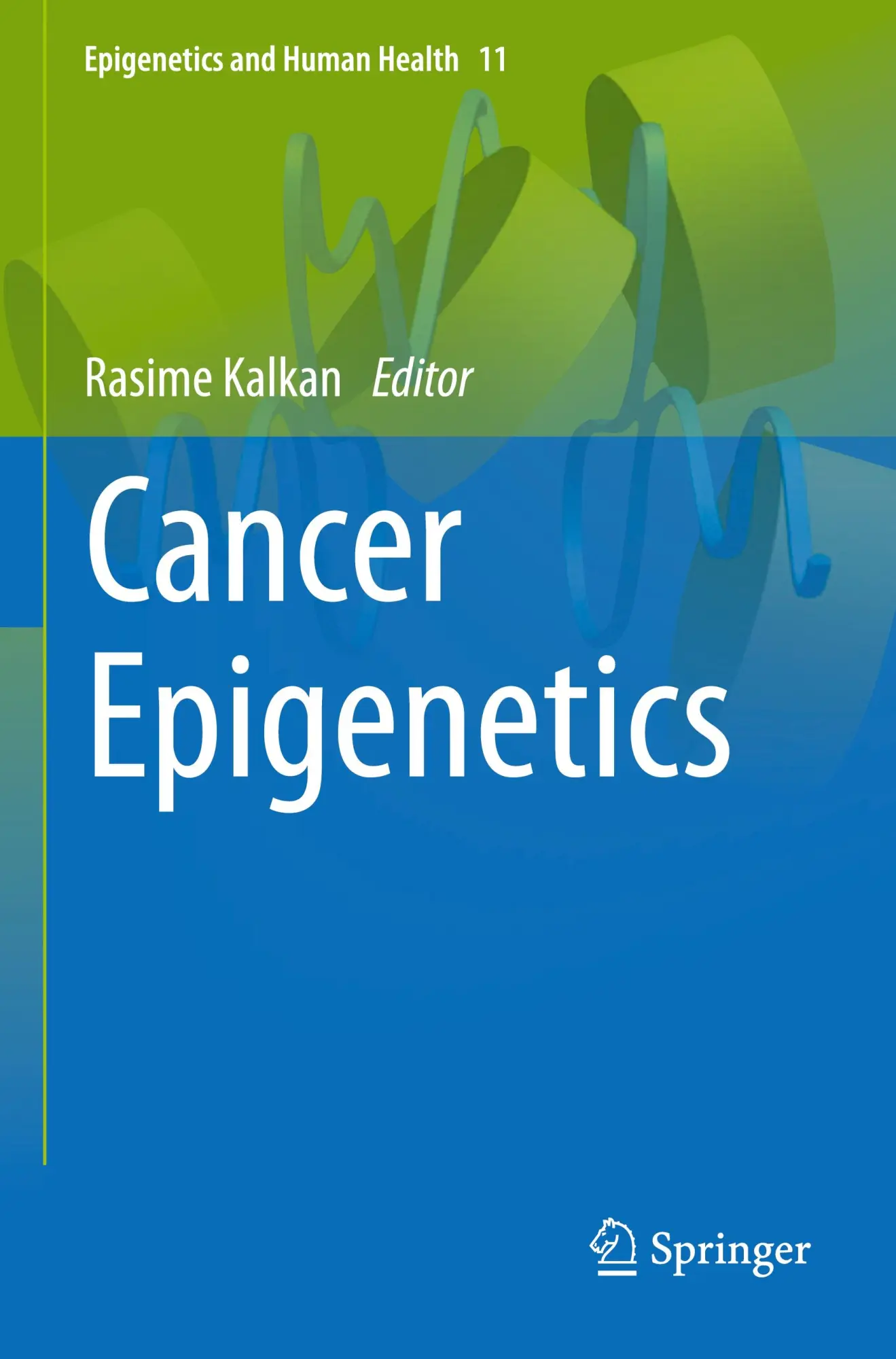 Cover: 9783031423673 | Cancer Epigenetics | Rasime Kalkan | Taschenbuch | xxii | Englisch