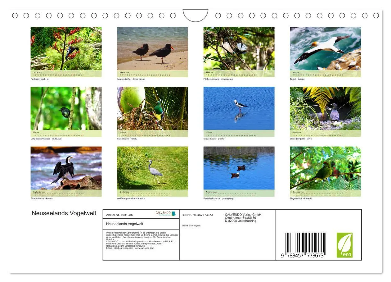 Bild: 9783457773673 | Neuseelands Vogelwelt (Wandkalender 2026 DIN A4 quer), CALVENDO...