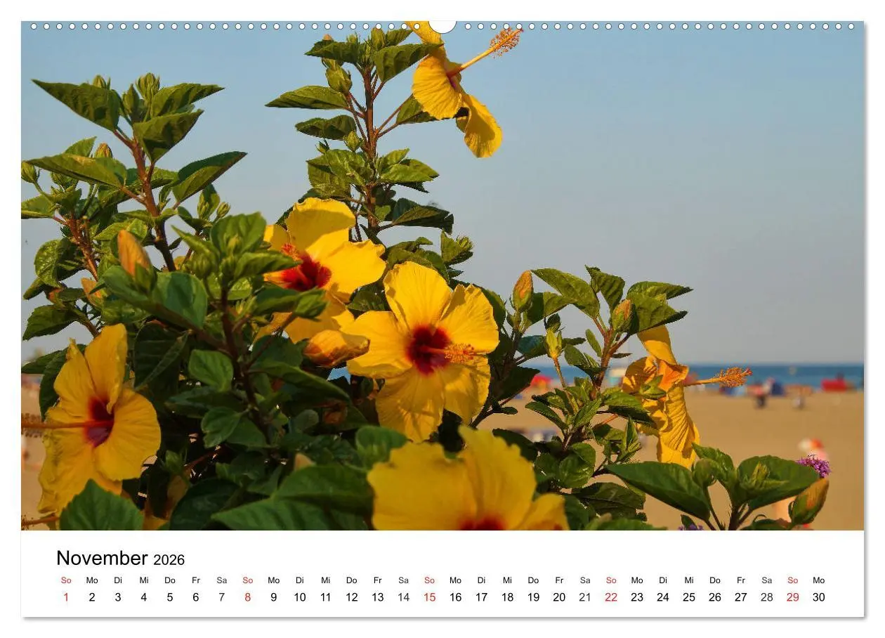 Bild: 9783457693773 | Ontario - Der Süden (hochwertiger Premium Wandkalender 2026 DIN A2...