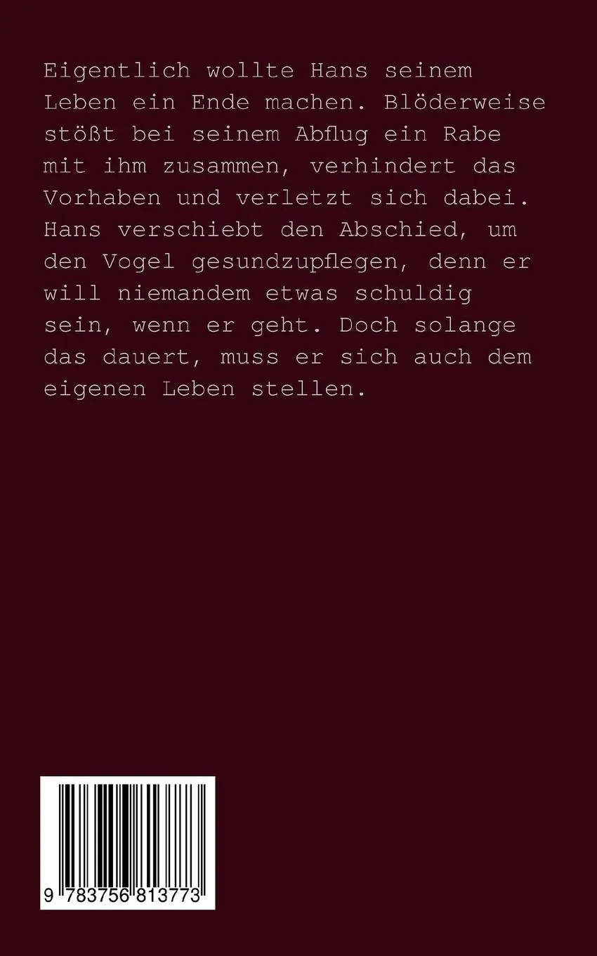 Rückseite: 9783756813773 | Fliegen lernen mit Rabe | Ryek Darkener | Taschenbuch | Paperback
