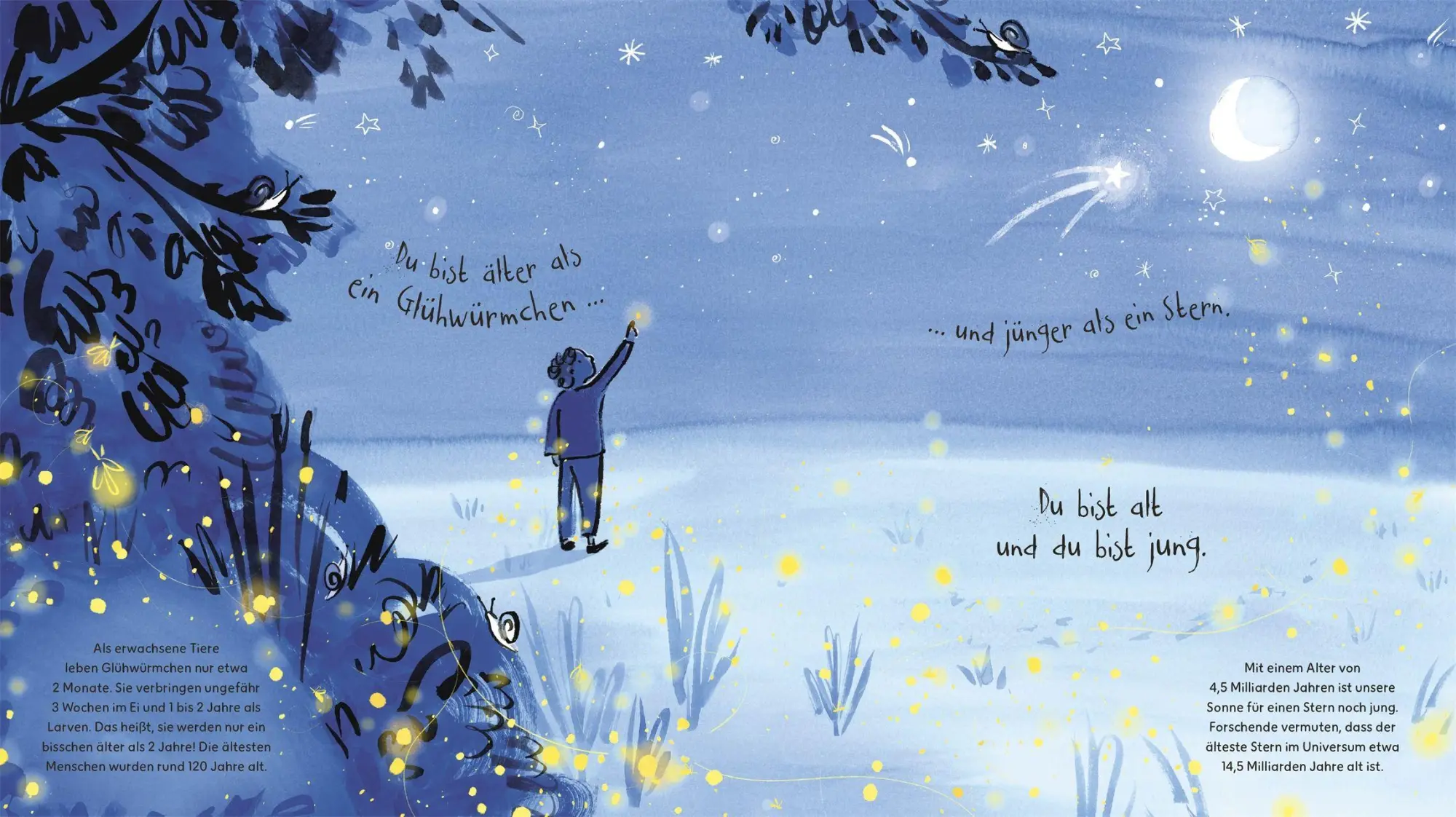 Bild: 9783831053773 | Du bist ein Wunder | Katherine Halligan | Buch | 48 S. | Deutsch