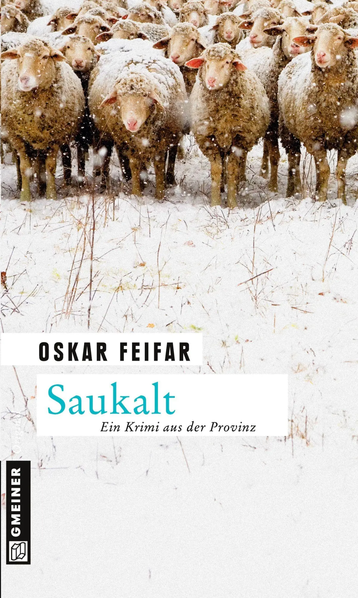 Cover: 9783839213773 | Saukalt | Oskar Feifar | Taschenbuch | 320 S. | Deutsch | 2013