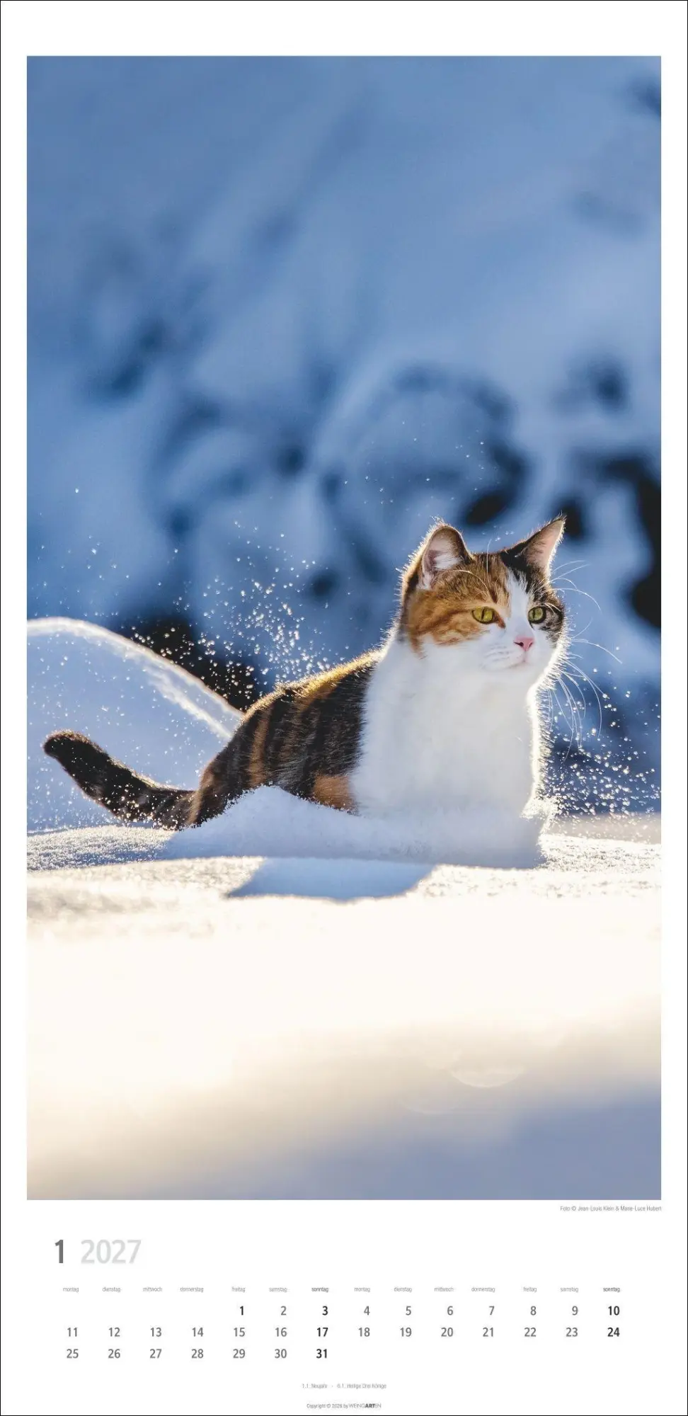 Bild: 9783839903773 | Katzen Kalender 2027 | Marie-Luce Hubert | Kalender | Spiralbindung