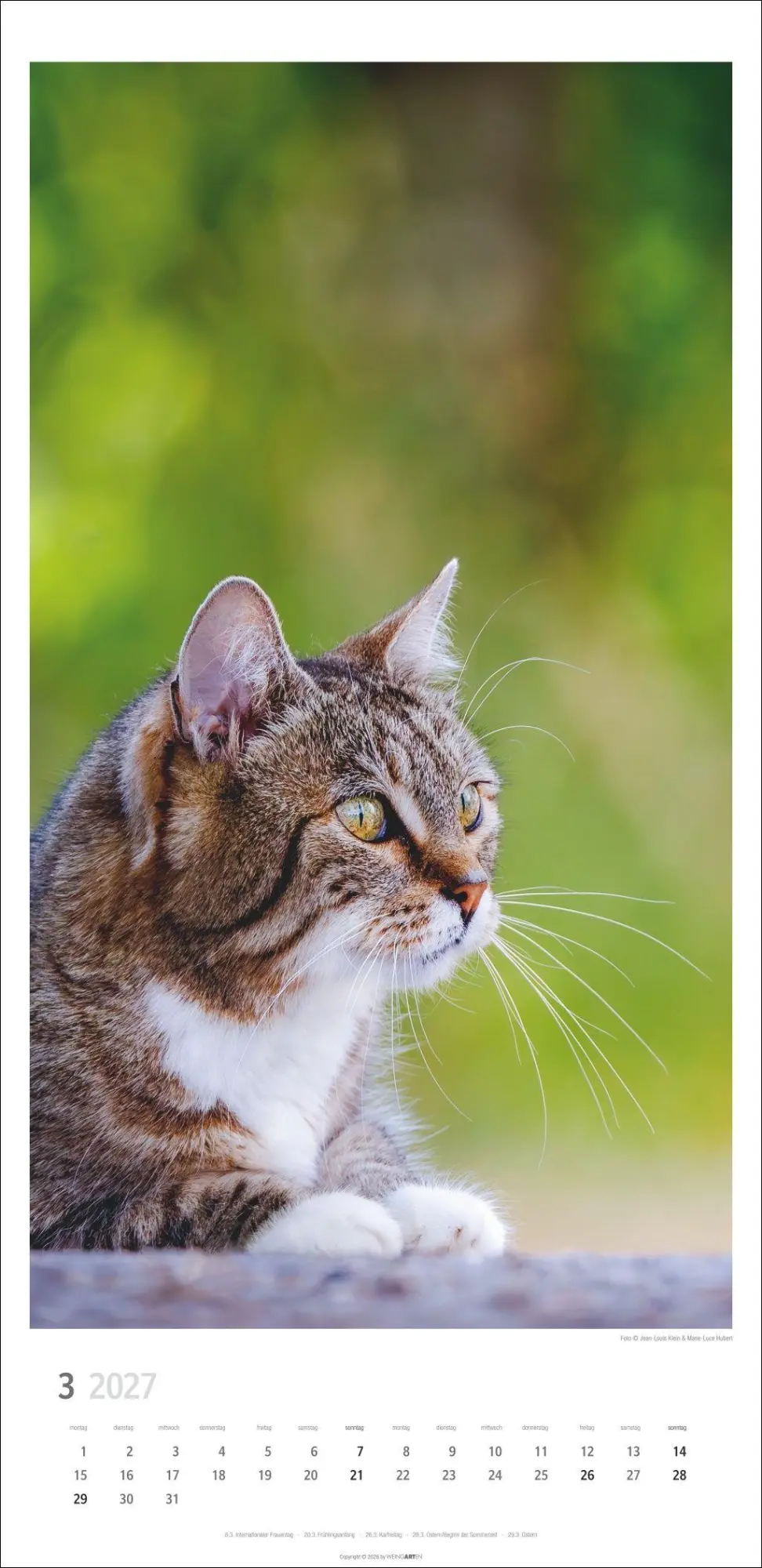 Bild: 9783839903773 | Katzen Kalender 2027 | Marie-Luce Hubert | Kalender | Spiralbindung
