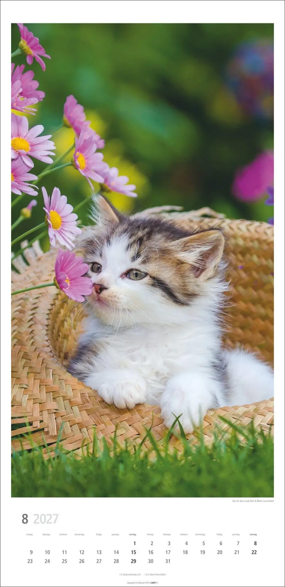 Bild: 9783839903773 | Katzen Kalender 2027 | Marie-Luce Hubert | Kalender | Spiralbindung
