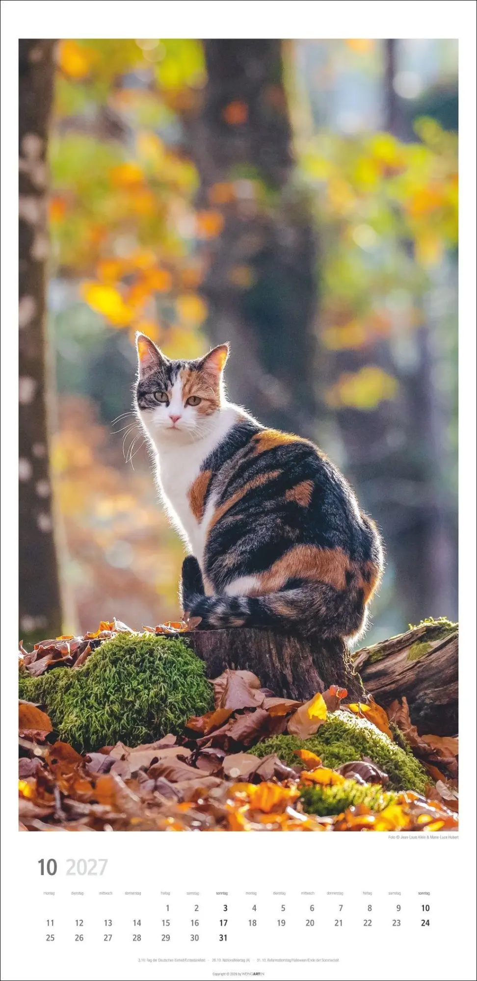 Bild: 9783839903773 | Katzen Kalender 2027 | Marie-Luce Hubert | Kalender | Spiralbindung