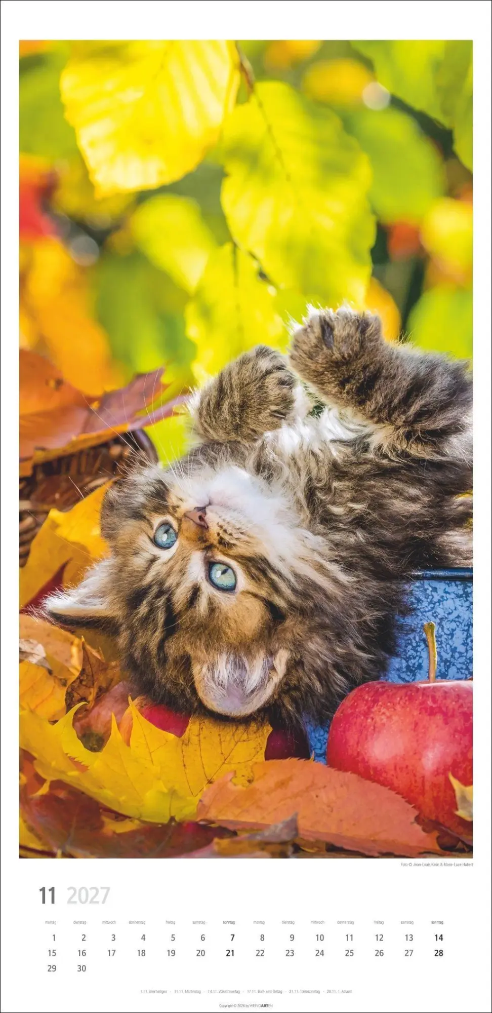 Bild: 9783839903773 | Katzen Kalender 2027 | Marie-Luce Hubert | Kalender | Spiralbindung