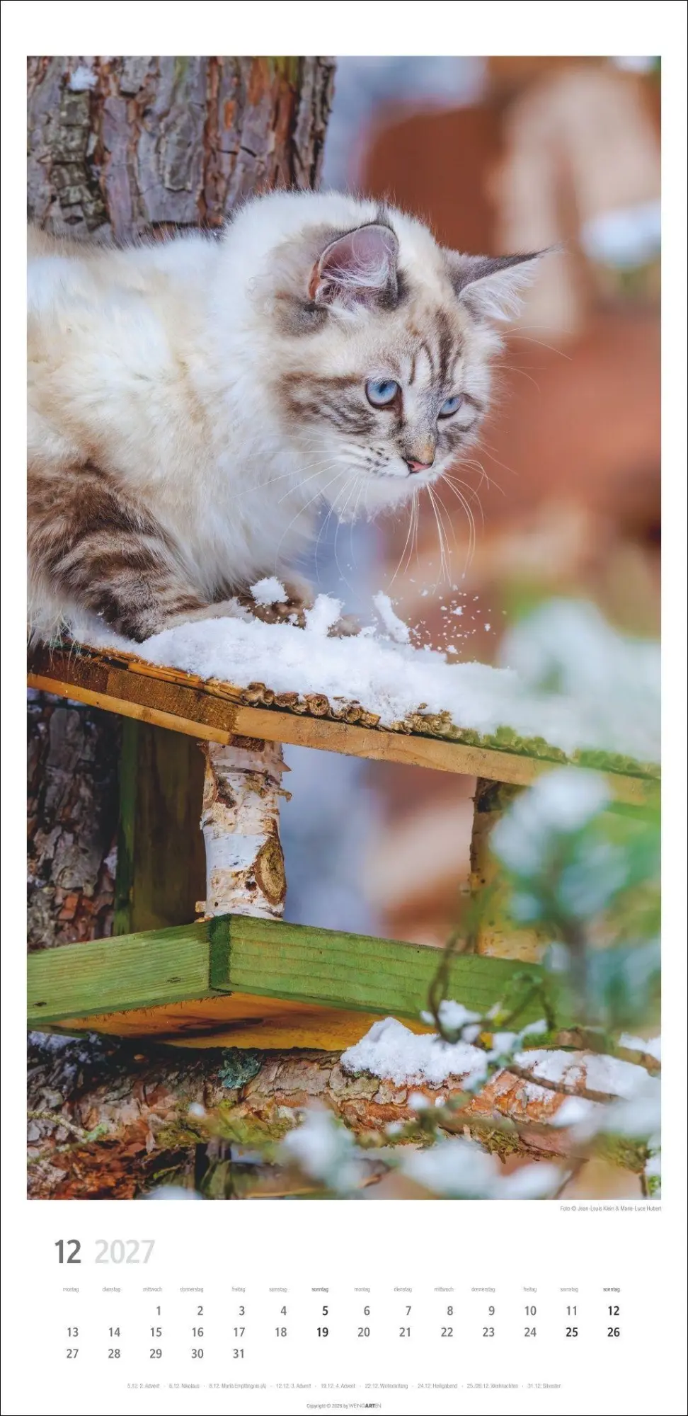 Bild: 9783839903773 | Katzen Kalender 2027 | Marie-Luce Hubert | Kalender | Spiralbindung