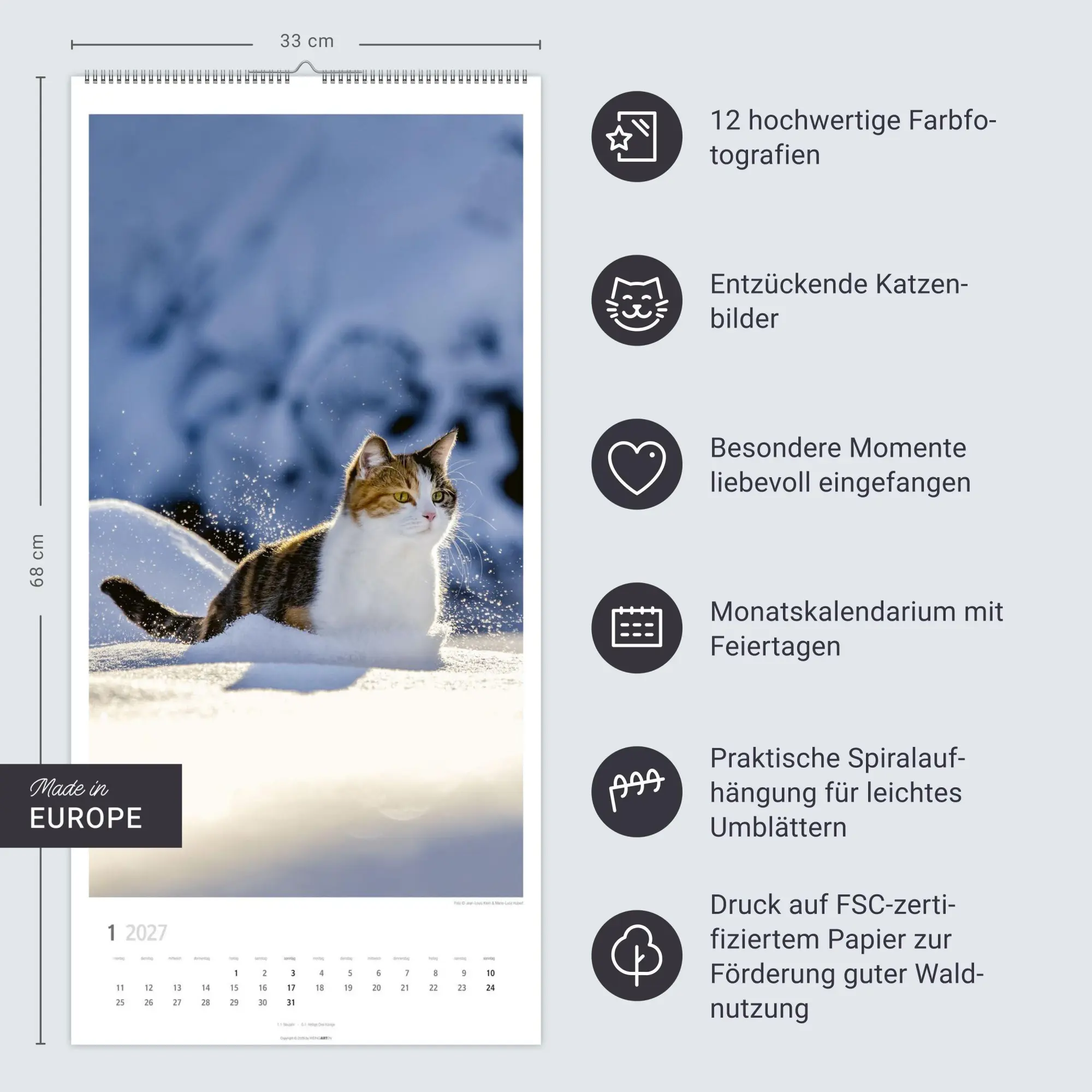 Bild: 9783839903773 | Katzen Kalender 2027 | Marie-Luce Hubert | Kalender | Spiralbindung