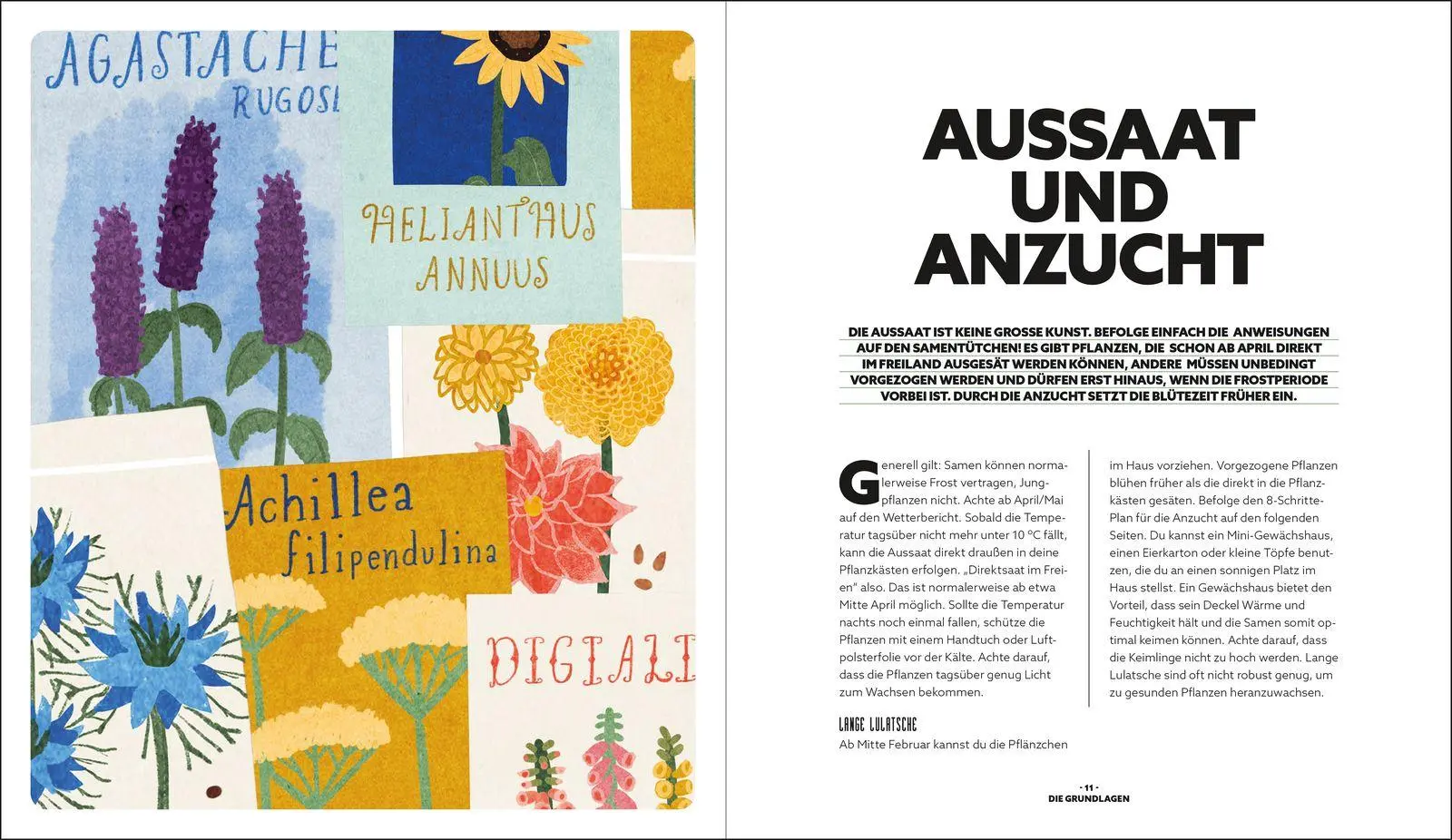 Bild: 9783848503773 | Blumenzauber - Mein blühendes Paradies auf Balkon und Terrasse | Buch