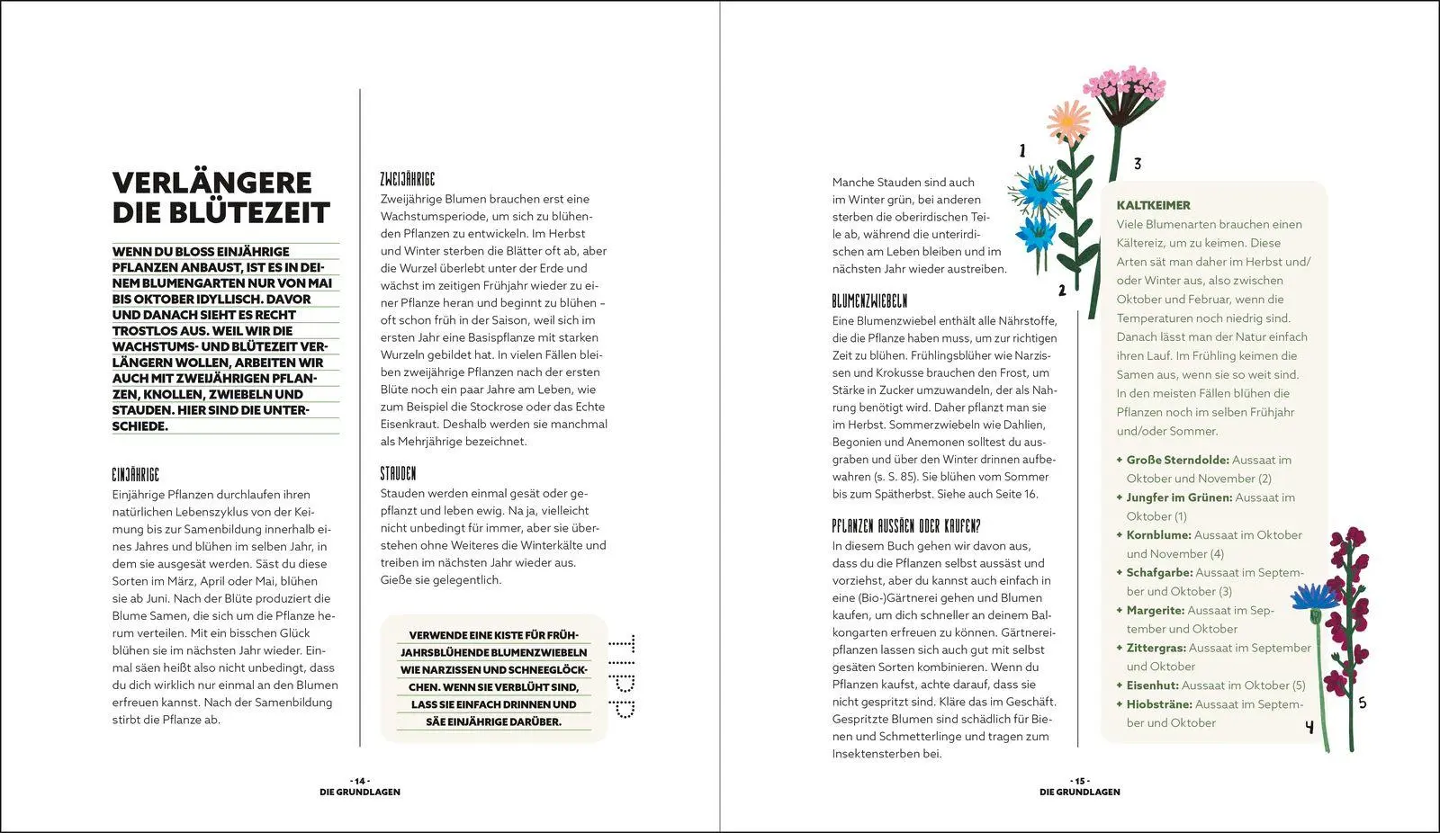 Bild: 9783848503773 | Blumenzauber - Mein blühendes Paradies auf Balkon und Terrasse | Buch