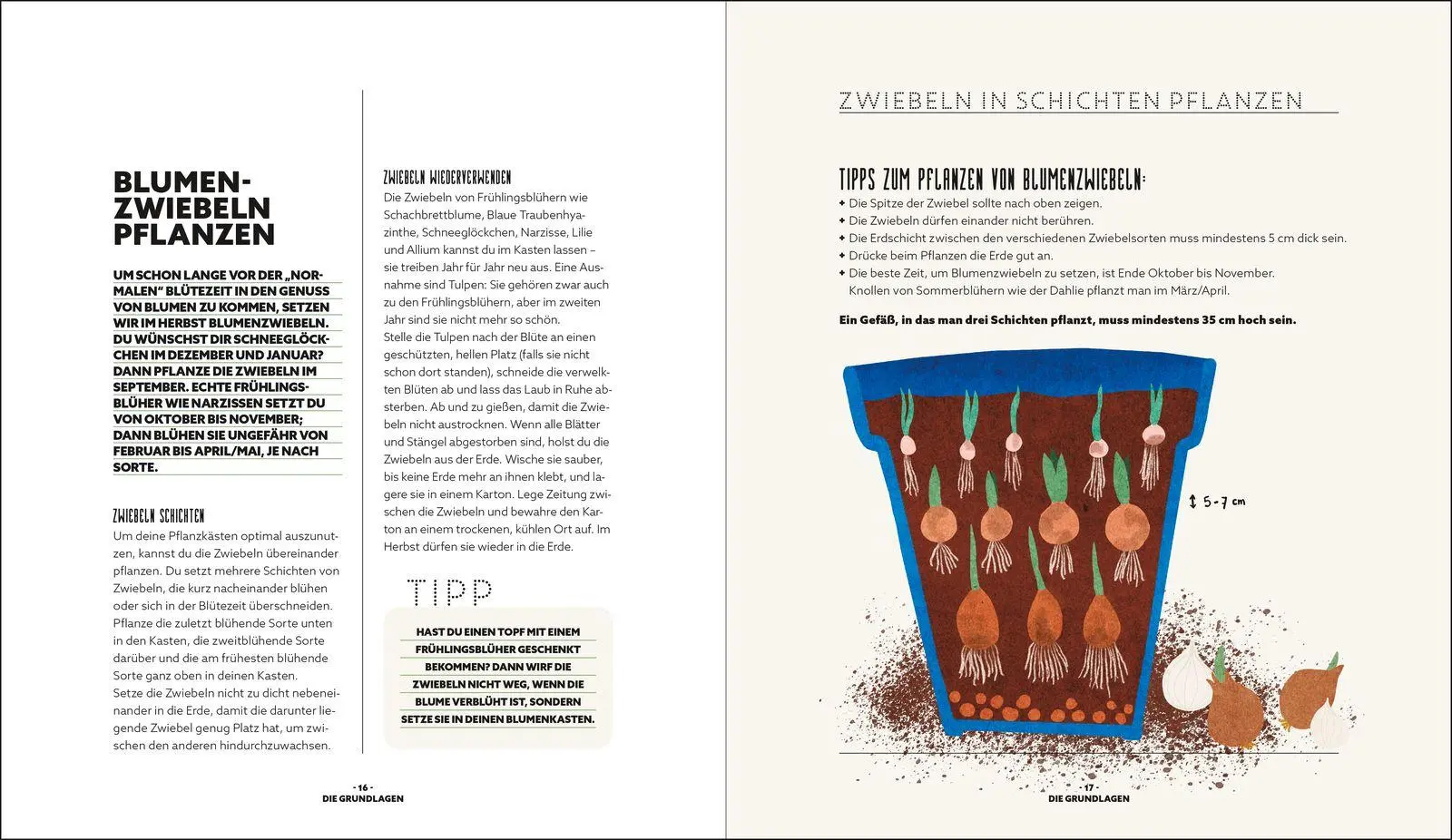Bild: 9783848503773 | Blumenzauber - Mein blühendes Paradies auf Balkon und Terrasse | Buch