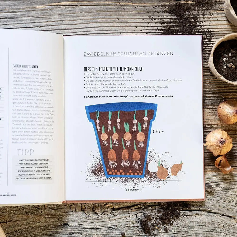 Bild: 9783848503773 | Blumenzauber - Mein blühendes Paradies auf Balkon und Terrasse | Buch