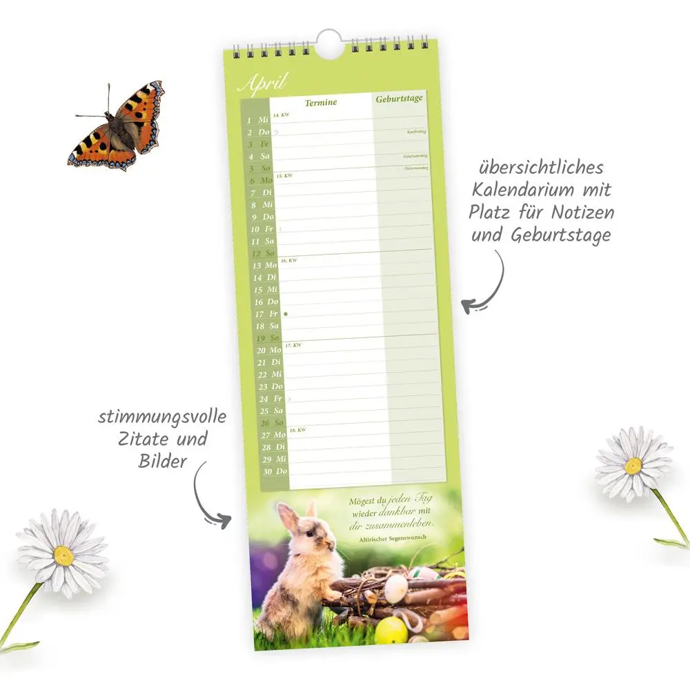 Bild: 9783988023773 | Trötsch Maxi-Streifenkalender Omas Kalender 2026 | Wandkalender | KG
