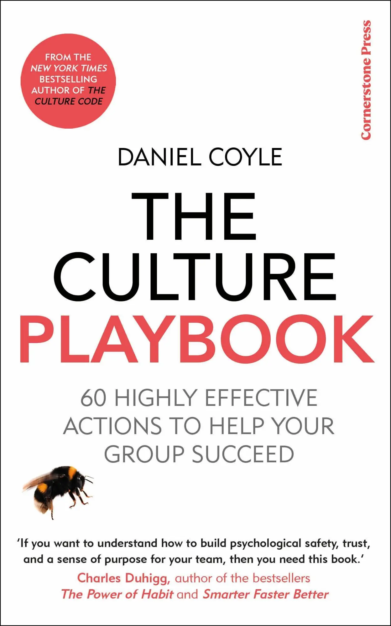 Cover: 9781847943873 | The Culture Playbook | Daniel Coyle | Taschenbuch | XII | Englisch