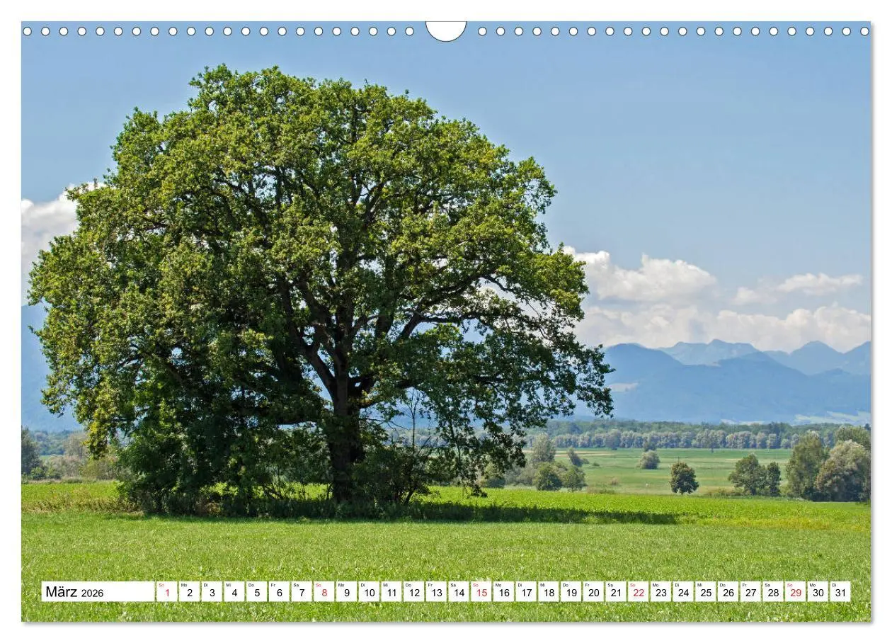 Bild: 9783457753873 | Chiemsee - Sommerferien am bayrischen Meer (Wandkalender 2026 DIN...