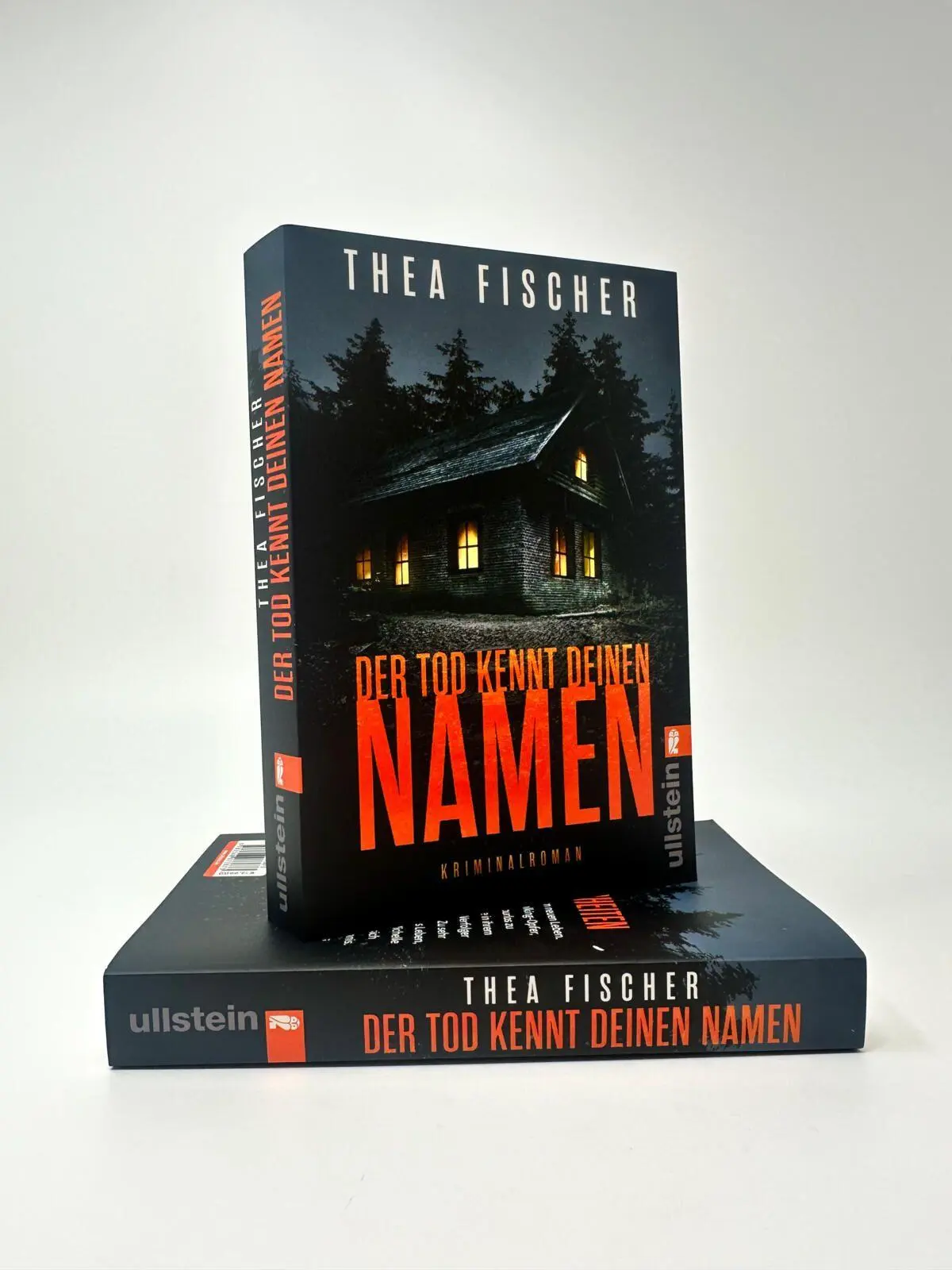 Bild: 9783548073873 | Der Tod kennt deinen Namen | Thea Fischer | Taschenbuch | 336 S.