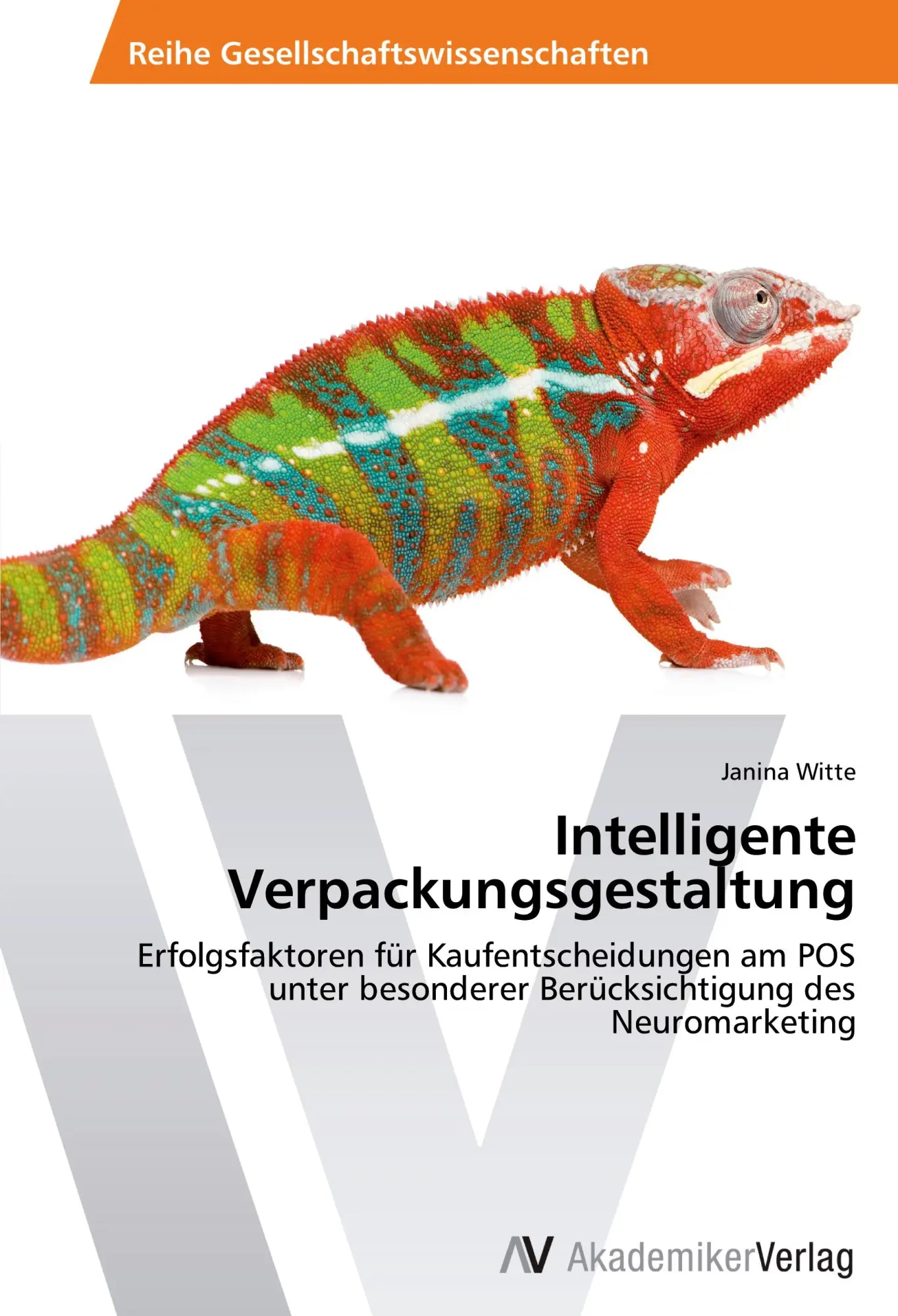 Cover: 9783639463873 | Intelligente Verpackungsgestaltung | Janina Witte | Taschenbuch | 2013