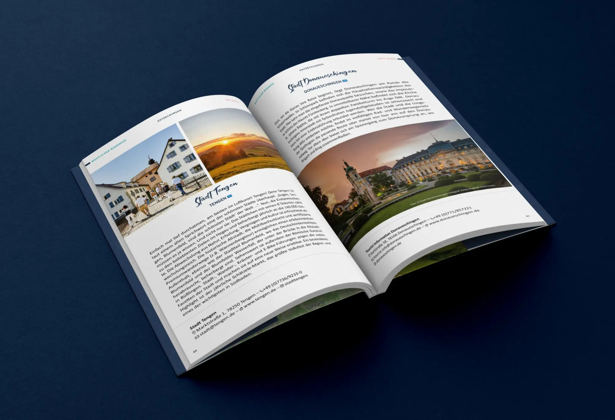 Bild: 9783861123873 | Mehr Erleben am Bodensee 2025 | Nico Klemann (u. a.) | Taschenbuch