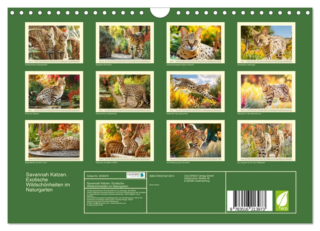 Bild: 9783516213973 | Savannah Katzen. Exotische Wildschönheiten im Naturgarten...