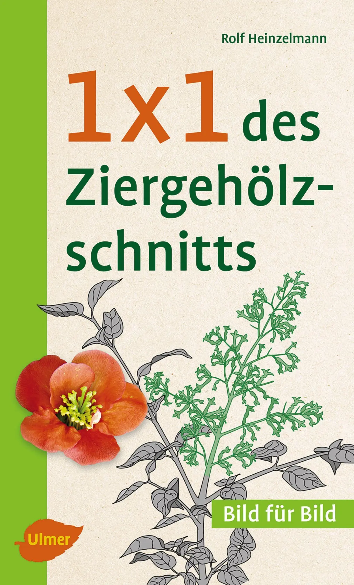 Cover: 9783800103973 | 1 x 1 des Ziergehölzschnitts | Bild für Bild | Rolf Heinzelmann | Buch