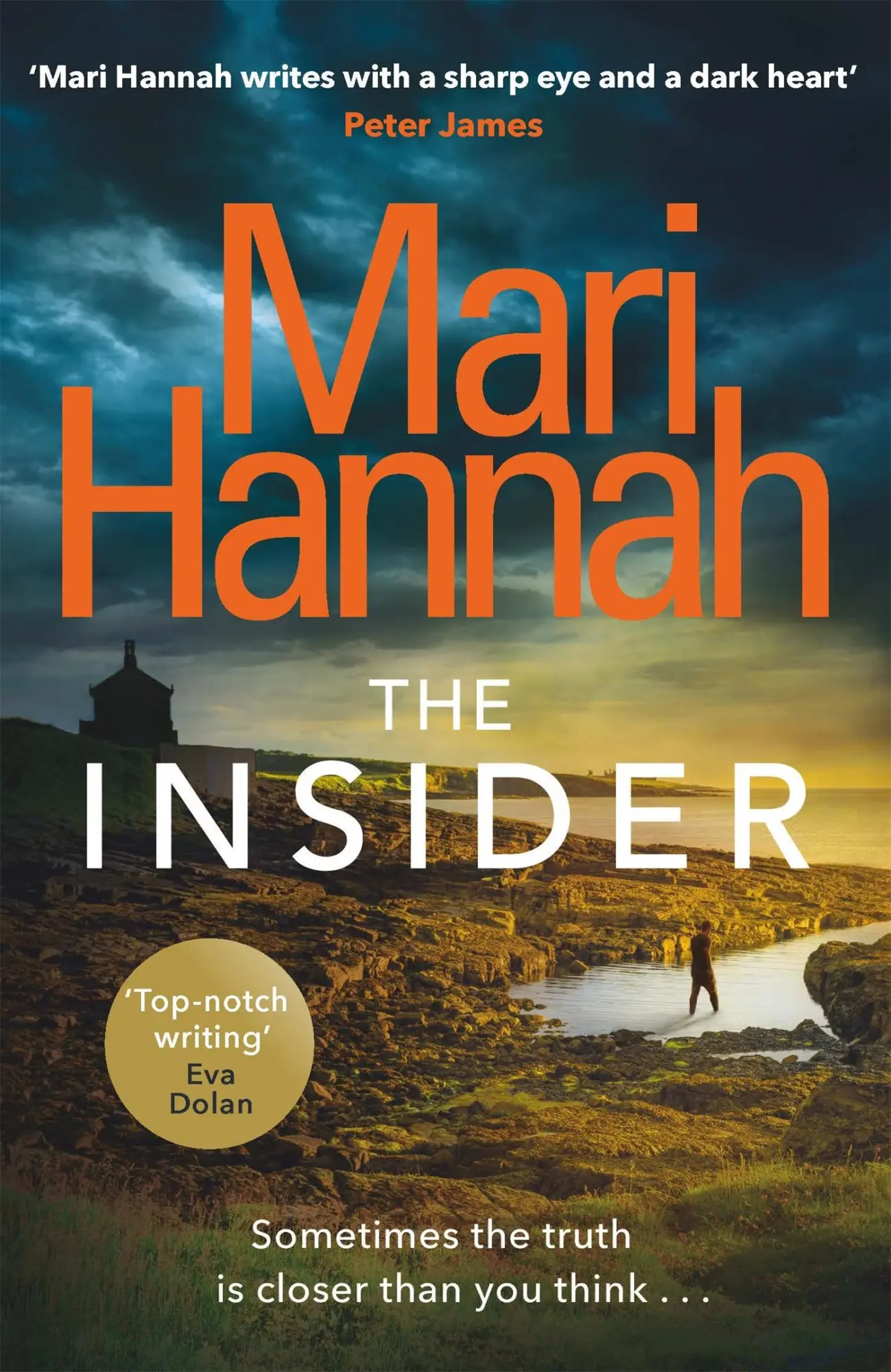 Cover: 9781409174073 | The Insider | Mari Hannah | Taschenbuch | Kartoniert / Broschiert