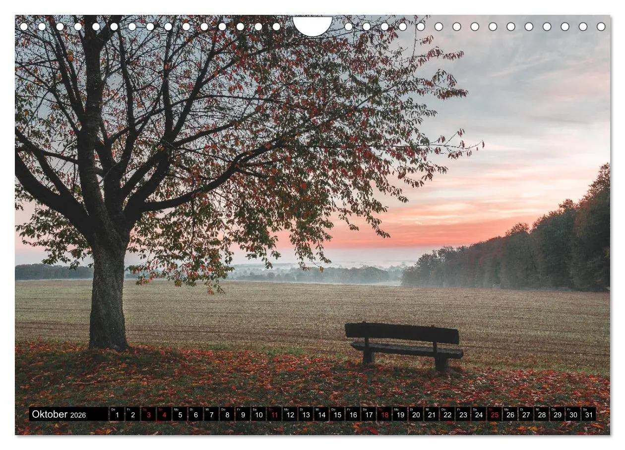 Bild: 9783457704073 | Das Münsterland - Meine Impressionen (Wandkalender 2026 DIN A4...