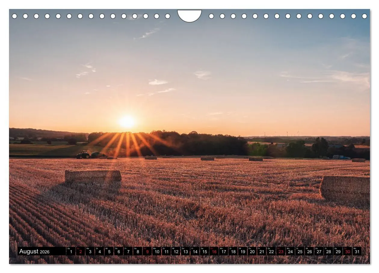 Bild: 9783457704073 | Das Münsterland - Meine Impressionen (Wandkalender 2026 DIN A4...