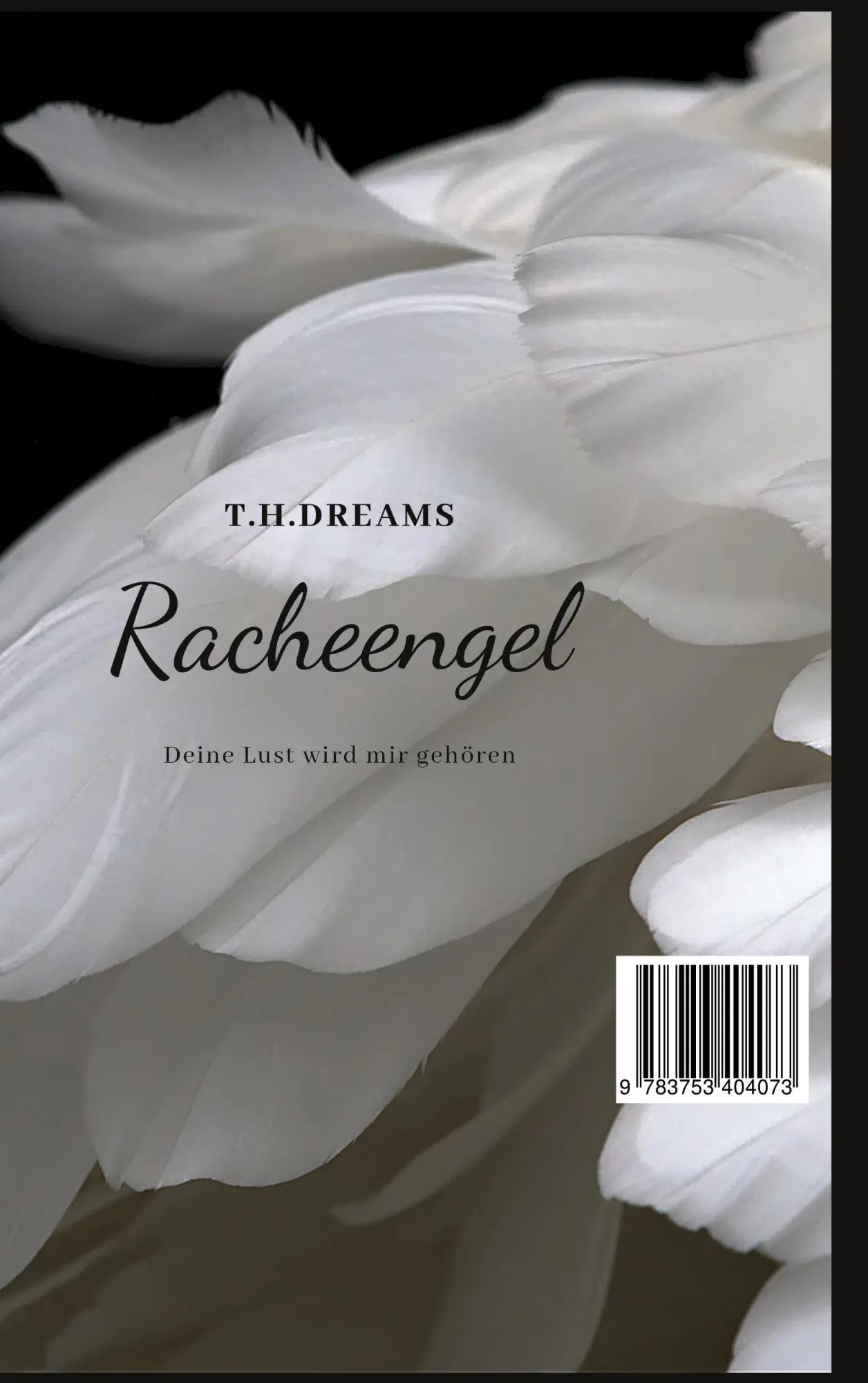 Cover: 9783753404073 | Racheengel | Deine Lust wird mir gehören | T. H. Dreams | Taschenbuch