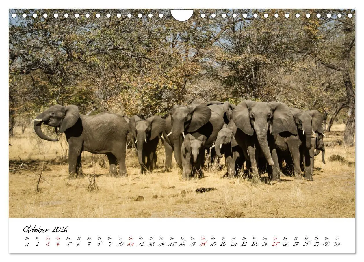 Bild: 9783457624173 | X Tage in Namibia - Ein Roadtrip im Süden von Afrika (Wandkalender...