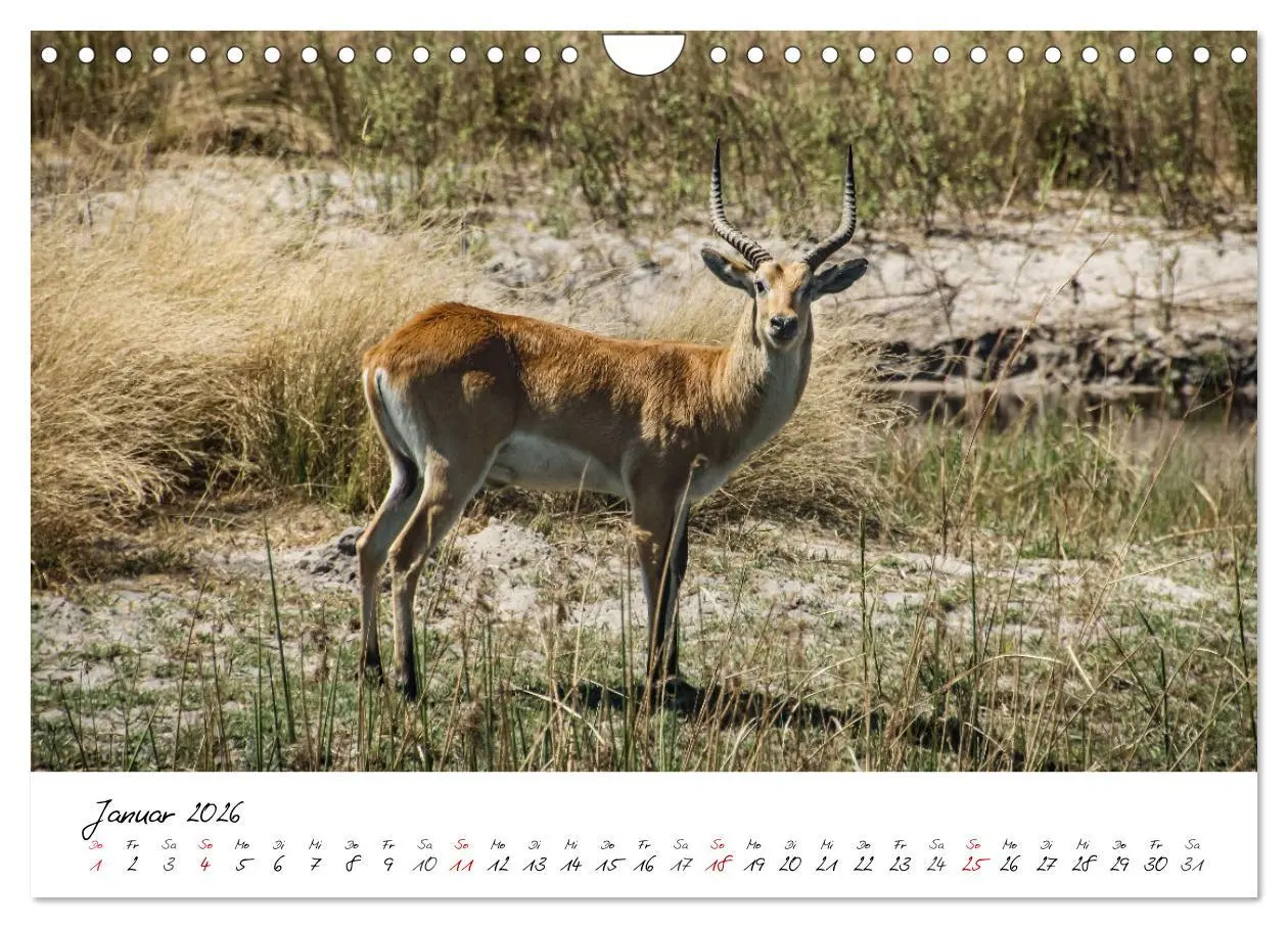 Bild: 9783457624173 | X Tage in Namibia - Ein Roadtrip im Süden von Afrika (Wandkalender...