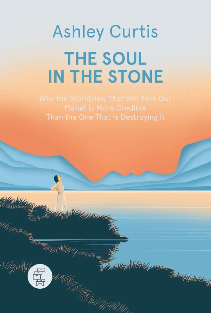 The Soul in the Stone - Ashley Curtis Gebunden