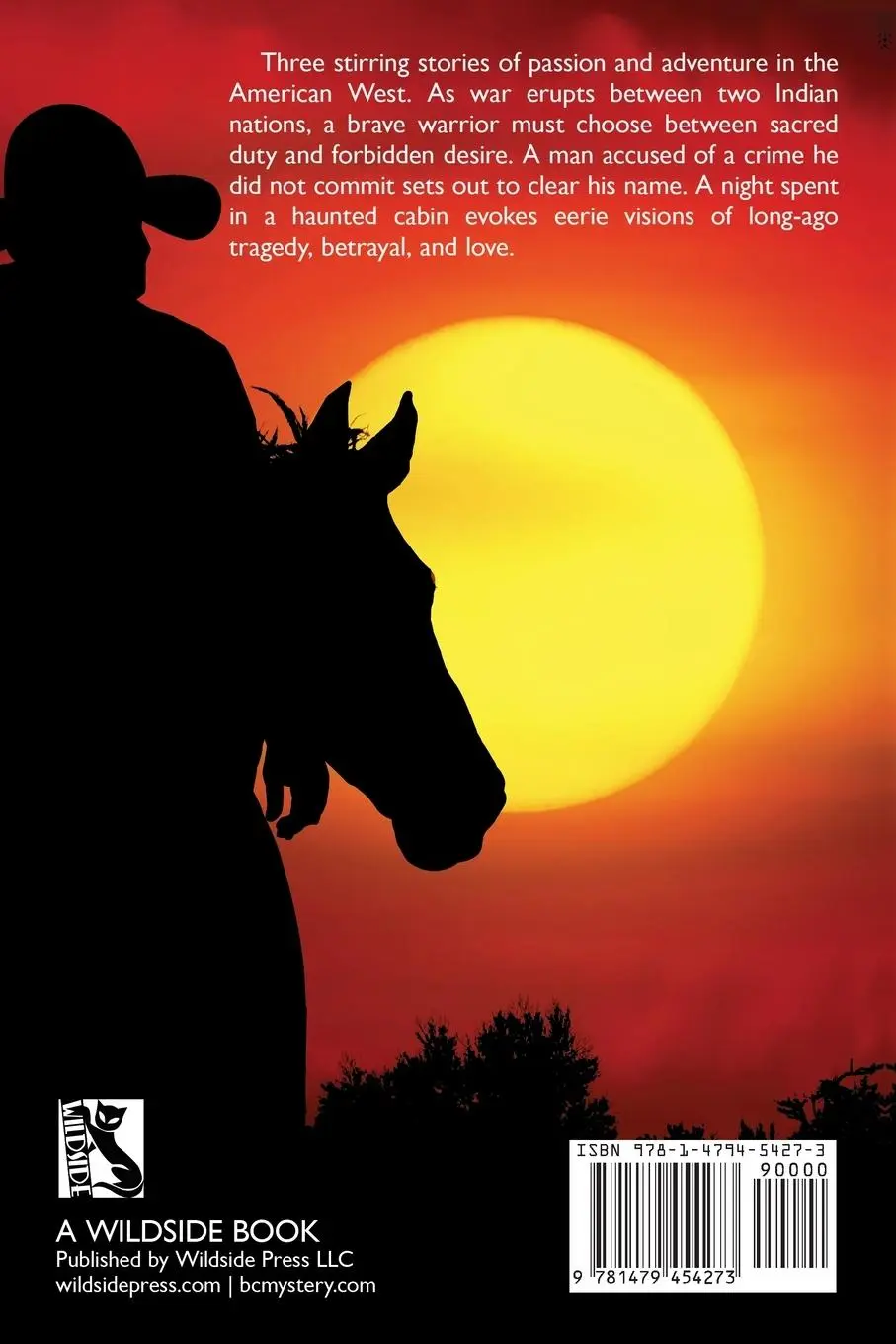 Rückseite: 9781479454273 | Blue Feather and Other Stories | Zane Grey | Taschenbuch | Englisch