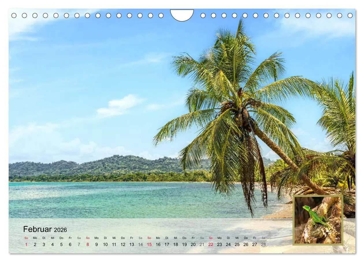 Bild: 9783457304273 | Costa Rica Dreams Tropische Naturwunder (Wandkalender 2026 DIN A4...