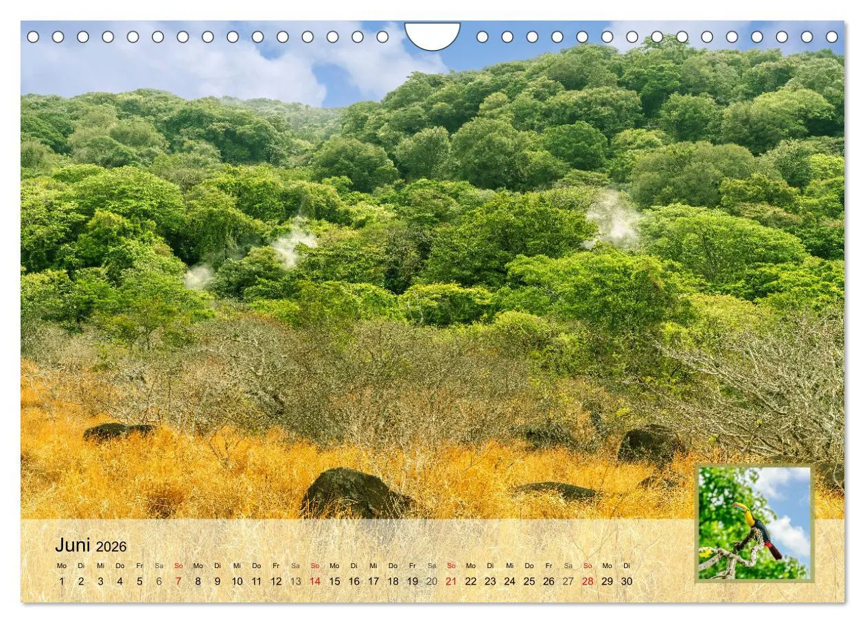 Bild: 9783457304273 | Costa Rica Dreams Tropische Naturwunder (Wandkalender 2026 DIN A4...