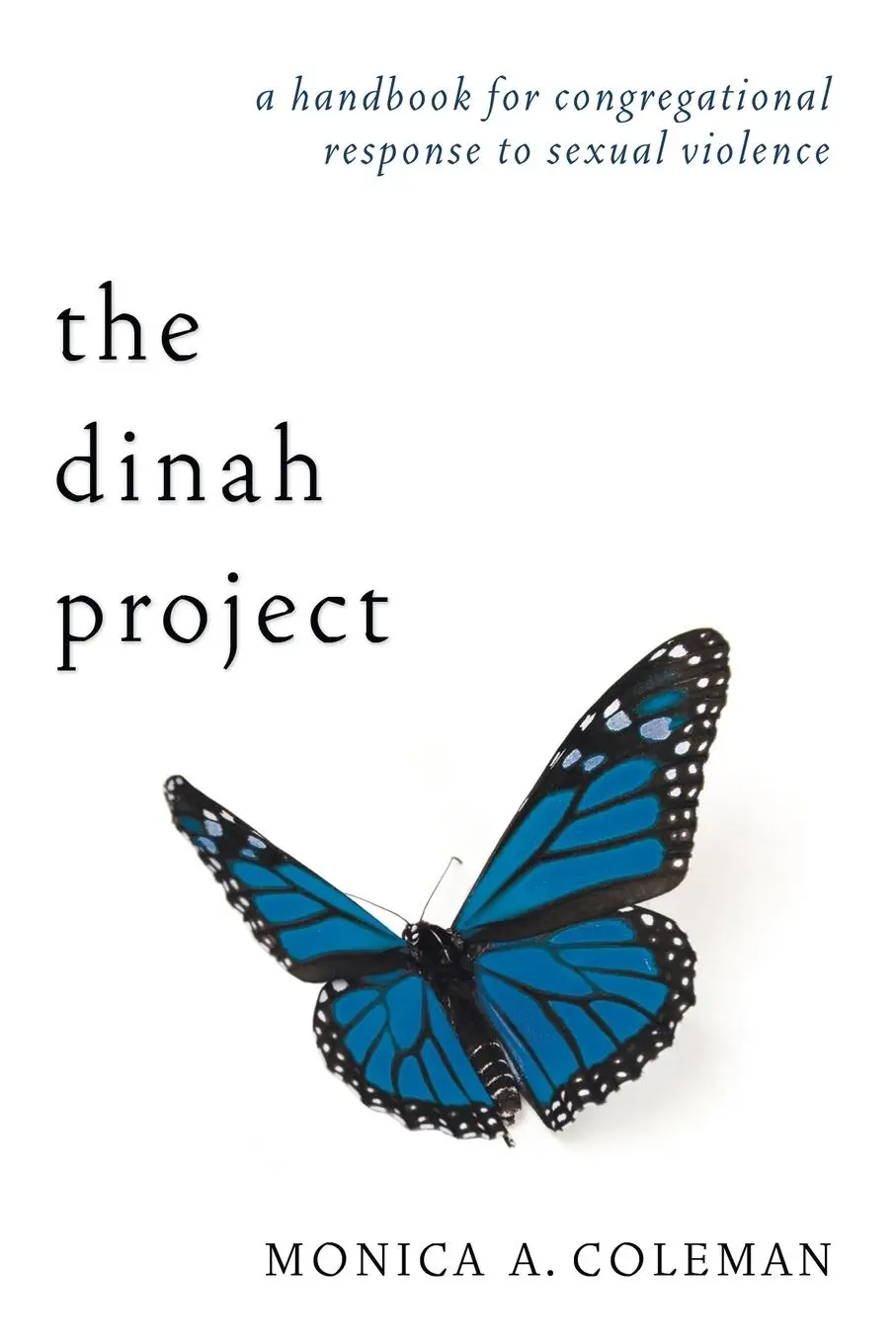 Cover: 9781608994373 | The Dinah Project | Monica A. Coleman | Taschenbuch | Englisch | 2010