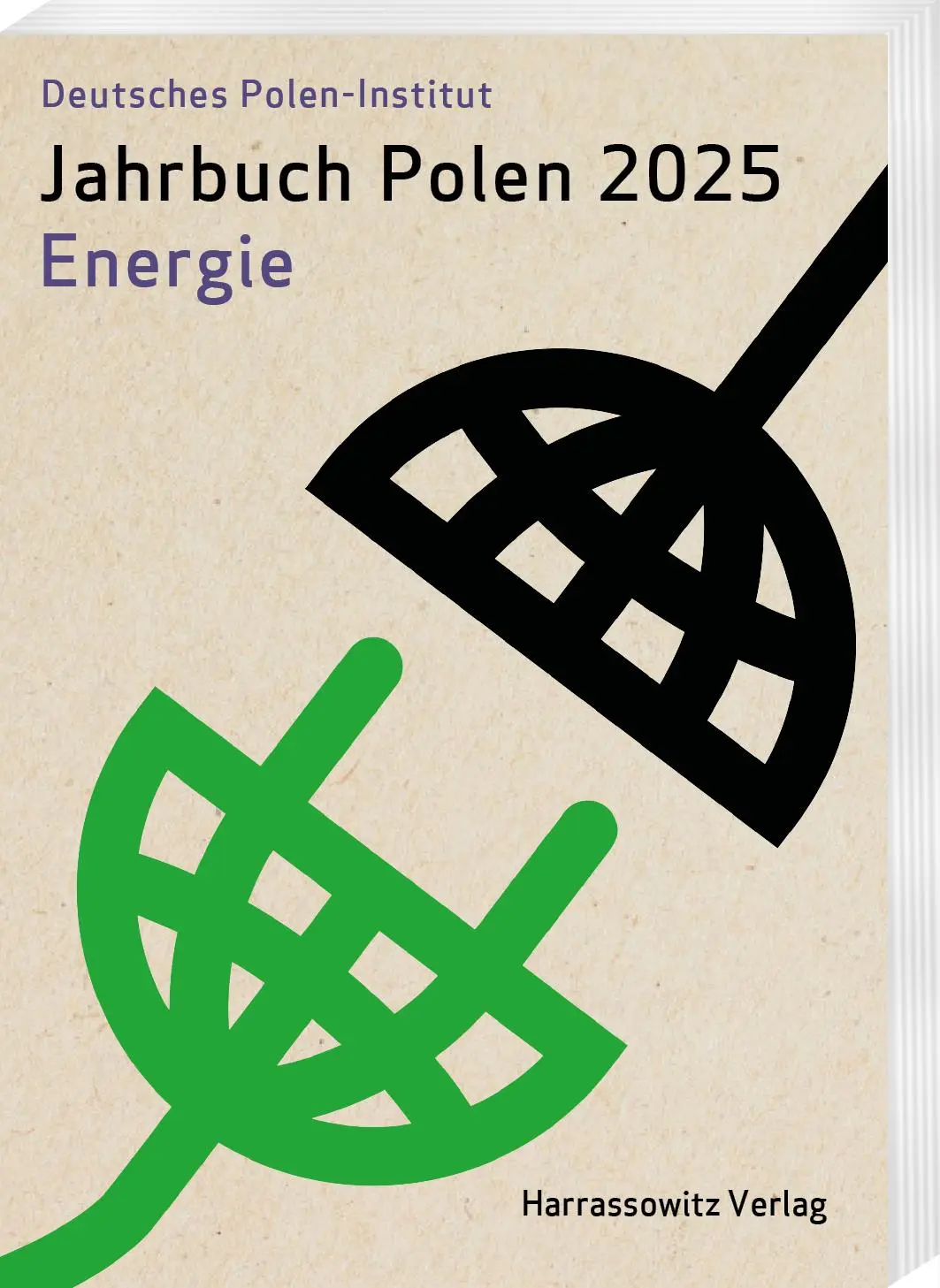 Cover: 9783447184373 | Jahrbuch des Deutschen Polen-Instituts Darmstadt / Jahrbuch Polen...