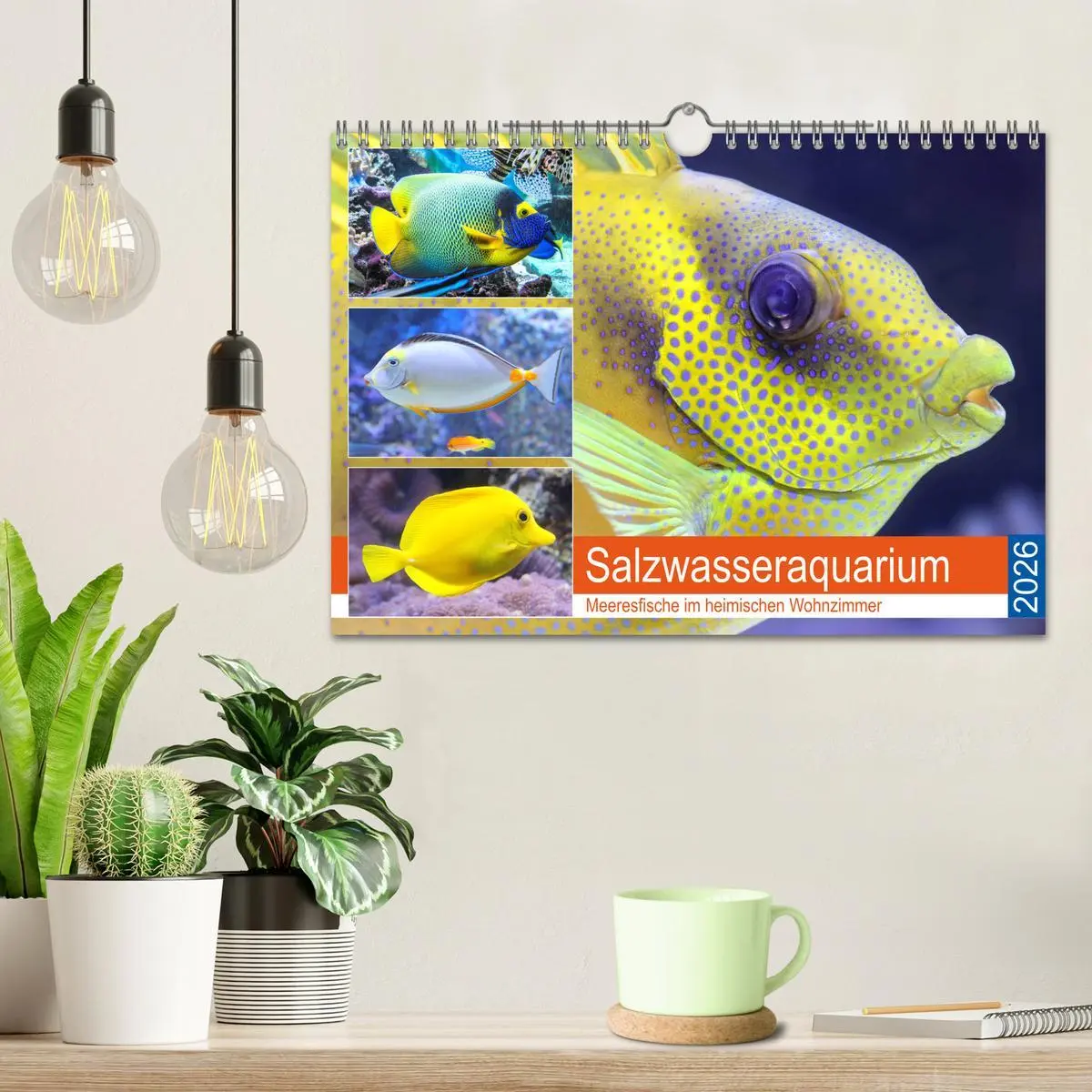 Bild: 9783457774373 | Salzwasseraquarium. Meeresfische im heimischen Wohnzimmer...