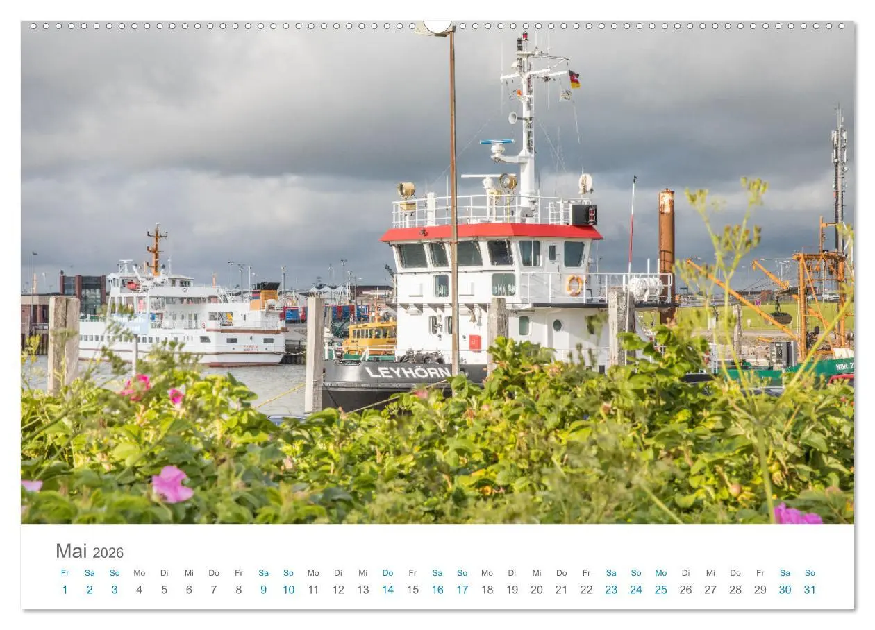 Bild: 9783457914373 | Moin Norden-Norddeich (Wandkalender 2026 DIN A2 quer), CALVENDO...