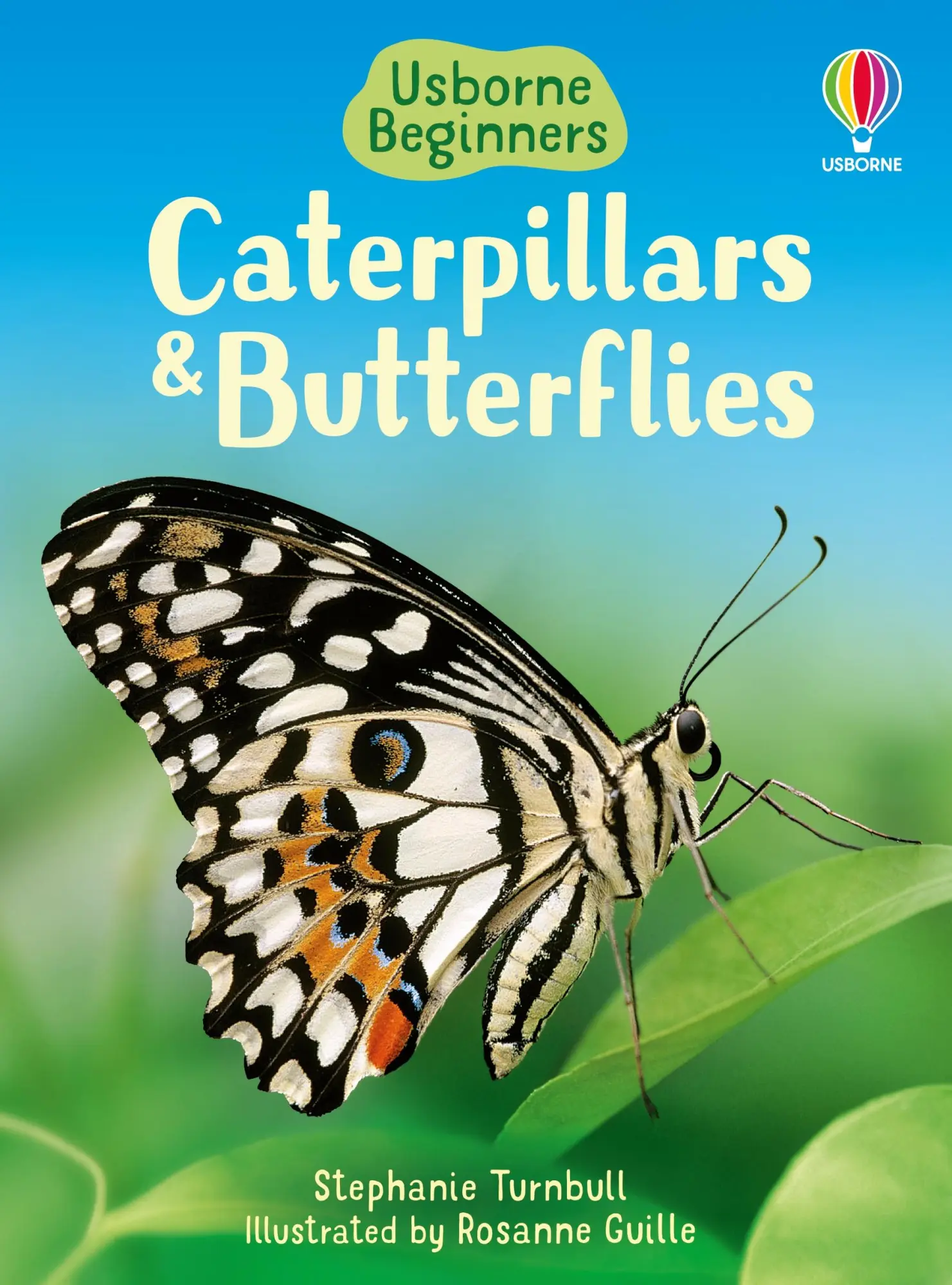 Cover: 9780746074473 | Caterpillars and Butterflies | Stephanie Turnbull | Buch | Gebunden