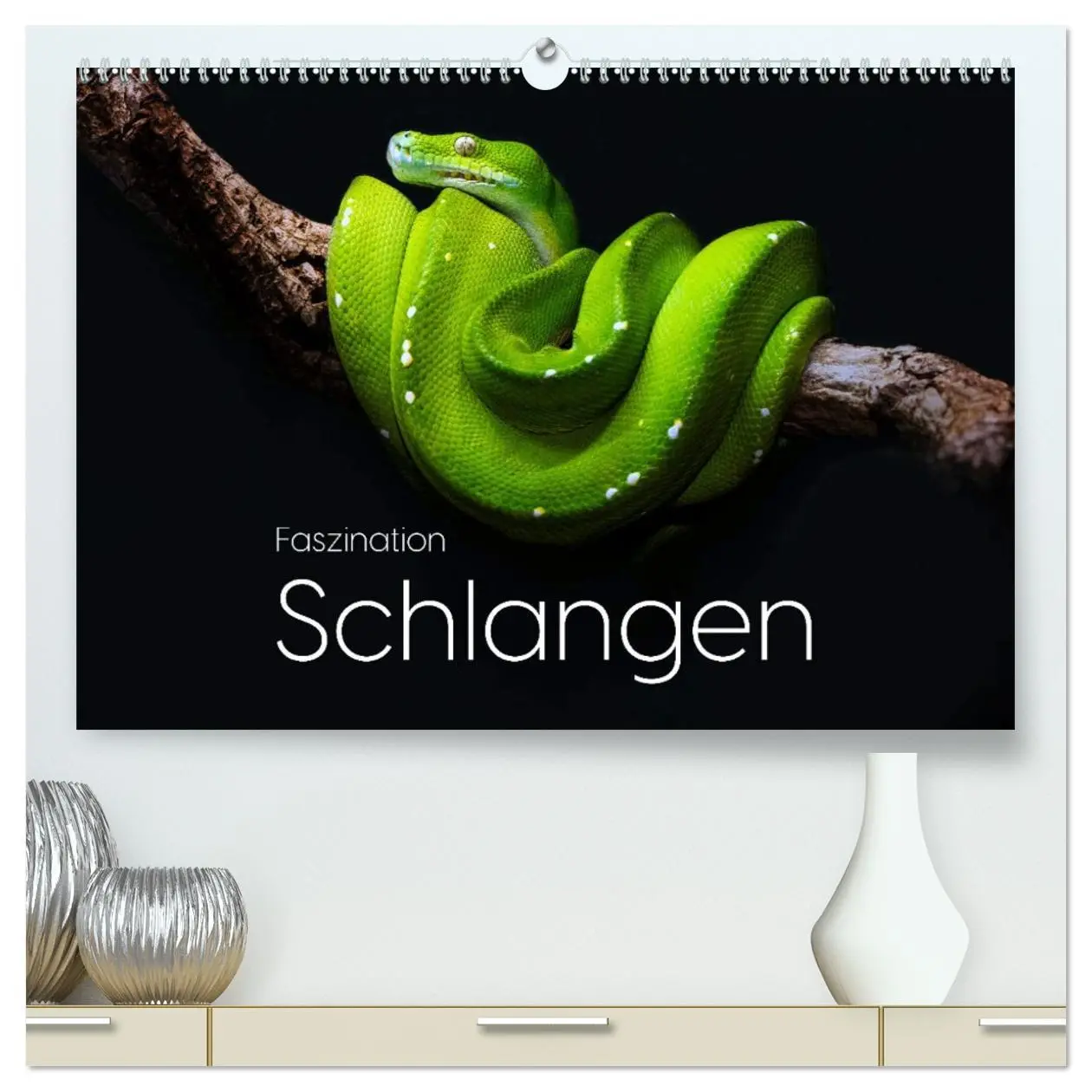 Cover: 9783457384473 | Faszination Schlangen (hochwertiger Premium Wandkalender 2026 DIN...