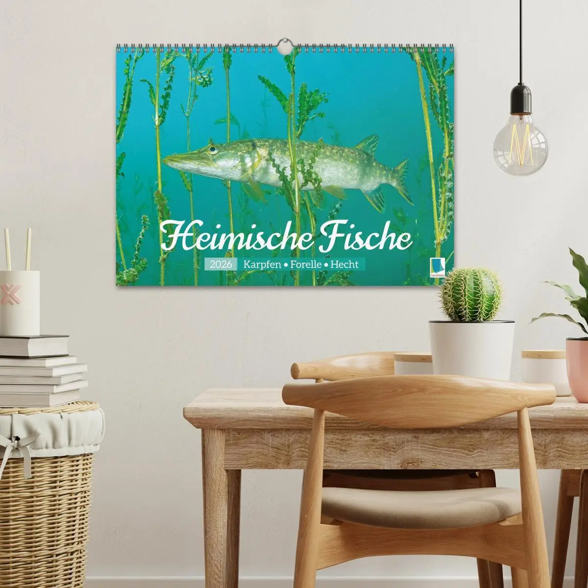 Bild: 9783516614473 | Heimische Fische: Karpfen, Forelle, Hecht (Wandkalender 2026 DIN A3...