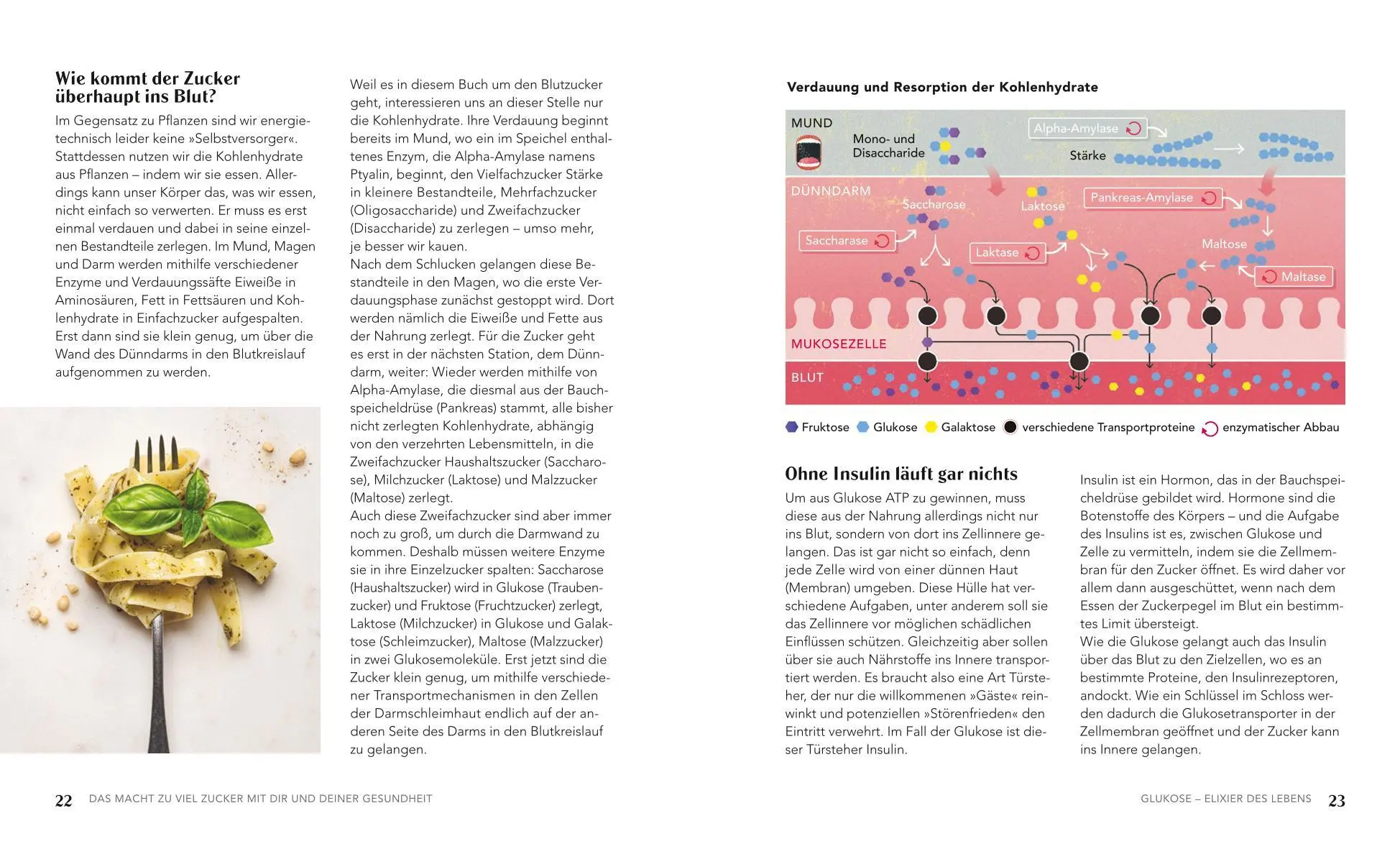 Bild: 9783833894473 | Glukose - Blutzucker runter, Gesundheit rauf | Petra Bracht | Buch