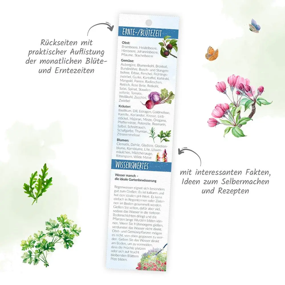 Bild: 9783988024473 | Trötsch Streifenkalender Mini Gartenzauber 2026 | KG | Kalender | XXIV