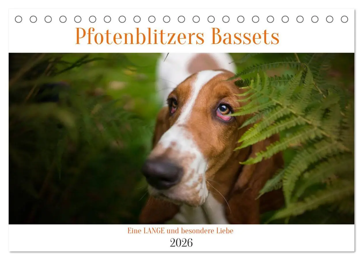 Cover: 9783457994573 | Der Basset, eine LANGE und besondere Liebe (Tischkalender 2026 DIN...