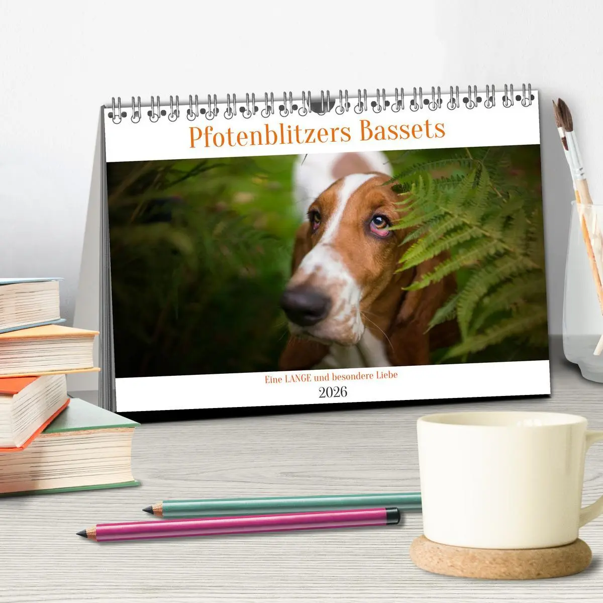 Bild: 9783457994573 | Der Basset, eine LANGE und besondere Liebe (Tischkalender 2026 DIN...