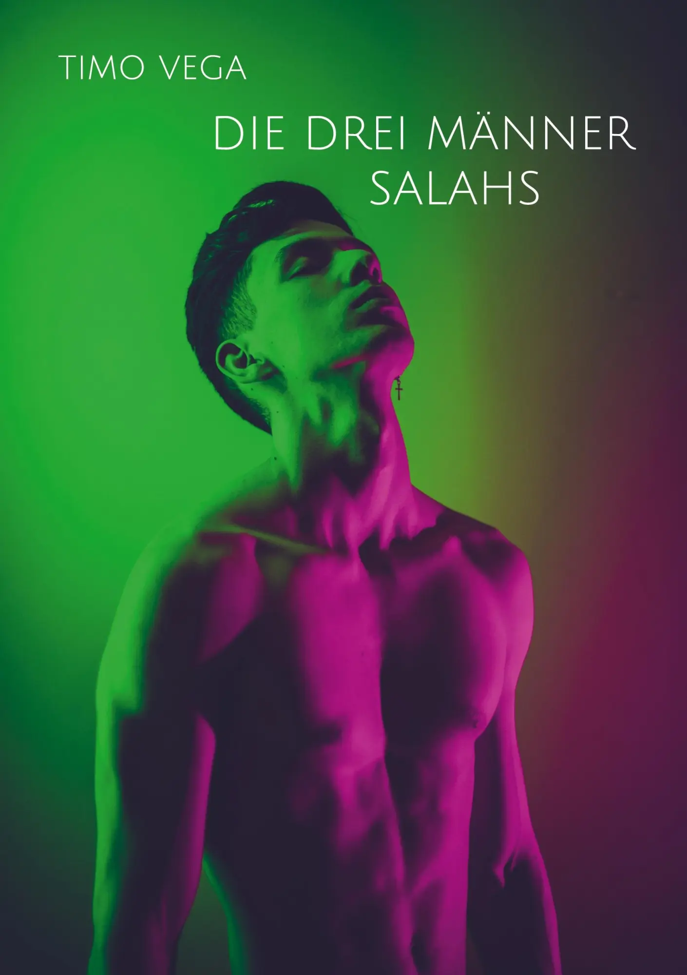 Cover: 9783743174573 | Die Drei Männer Salahs | Timo Vega | Taschenbuch | 190 S. | Deutsch