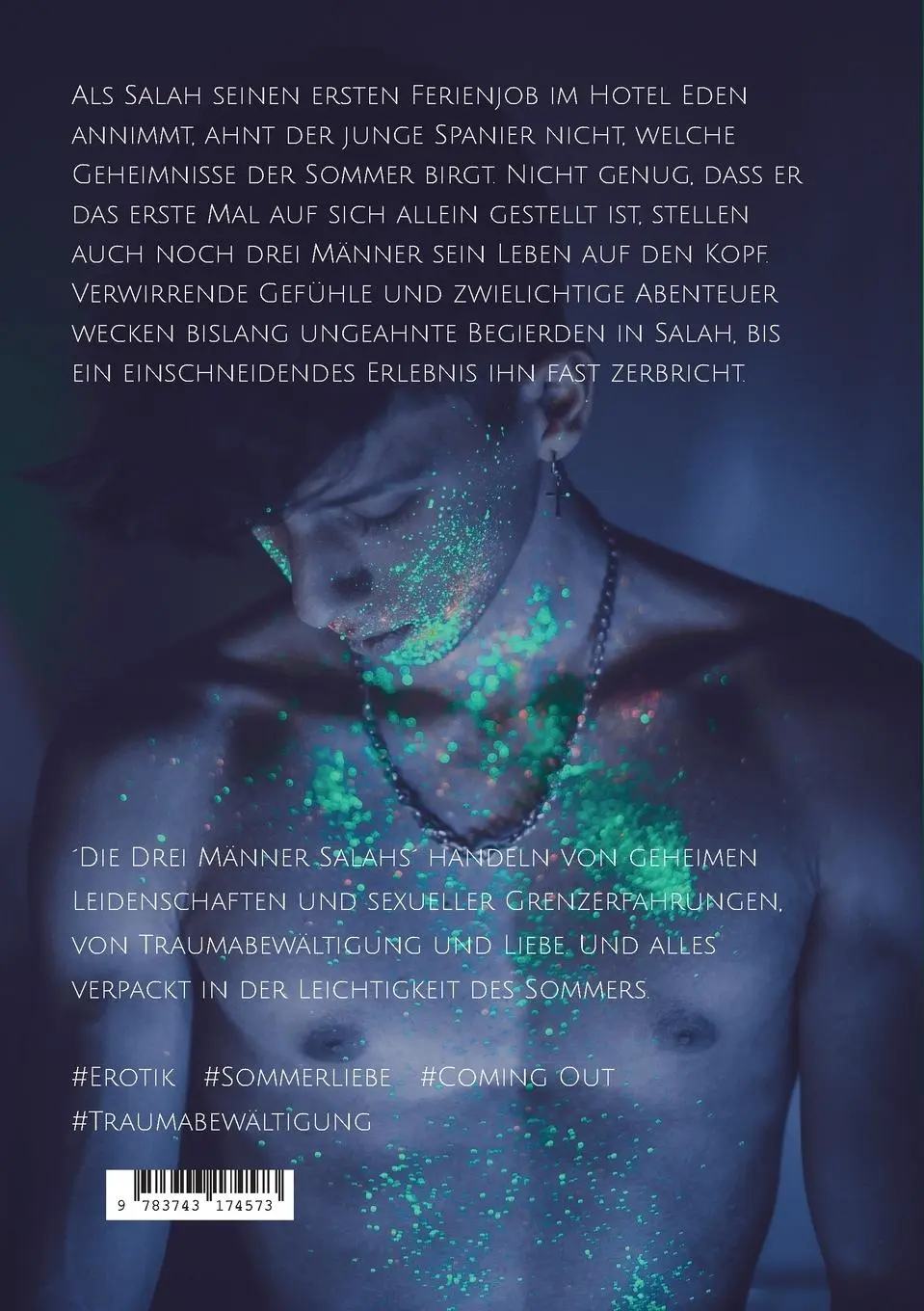 Rückseite: 9783743174573 | Die Drei Männer Salahs | Timo Vega | Taschenbuch | 190 S. | Deutsch