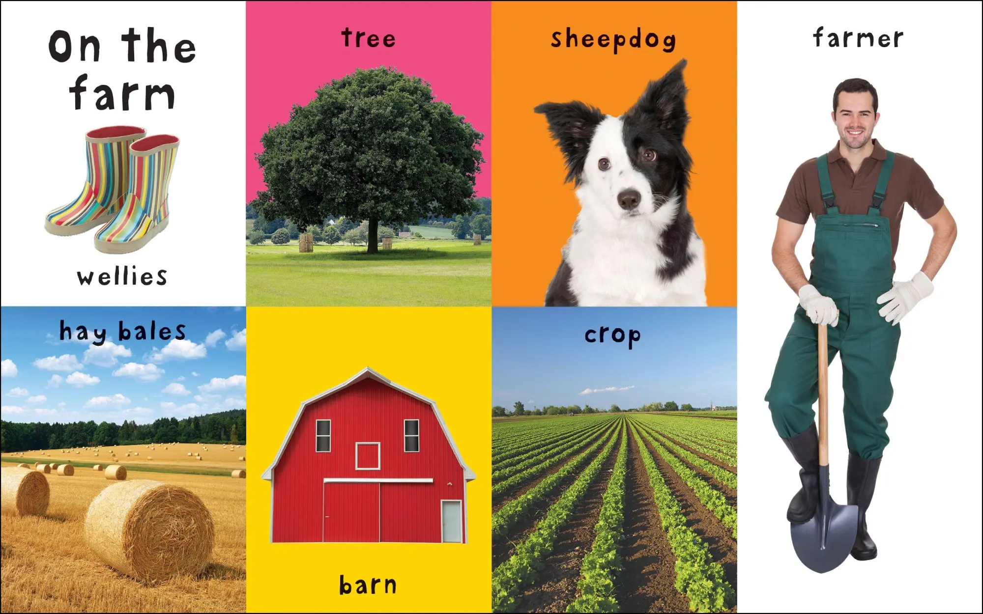 Bild: 9781783414673 | First Farm Words | Soft-to-Touch | Priddy Books (u. a.) | Buch | 2017